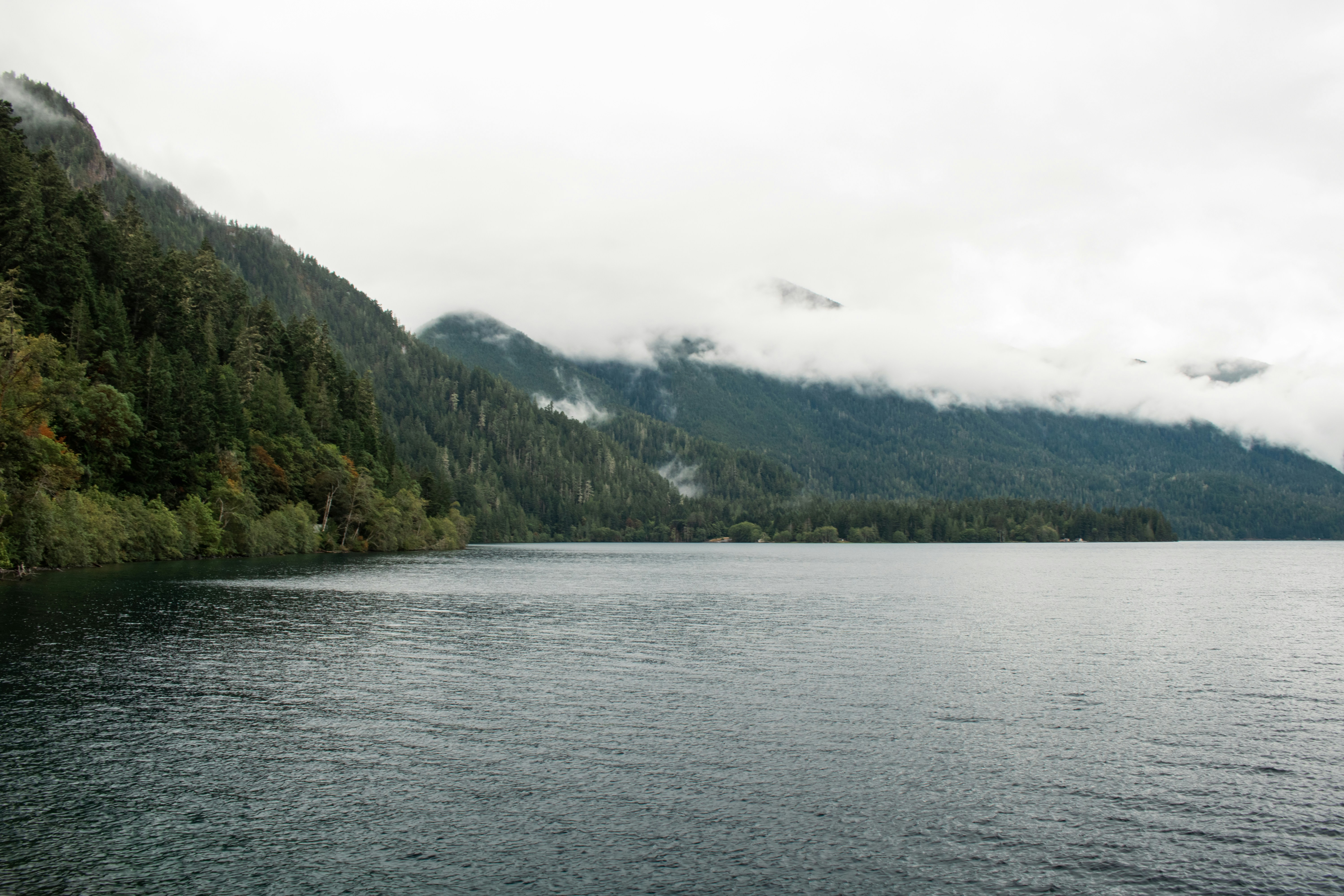 Photo by zoshuacolah