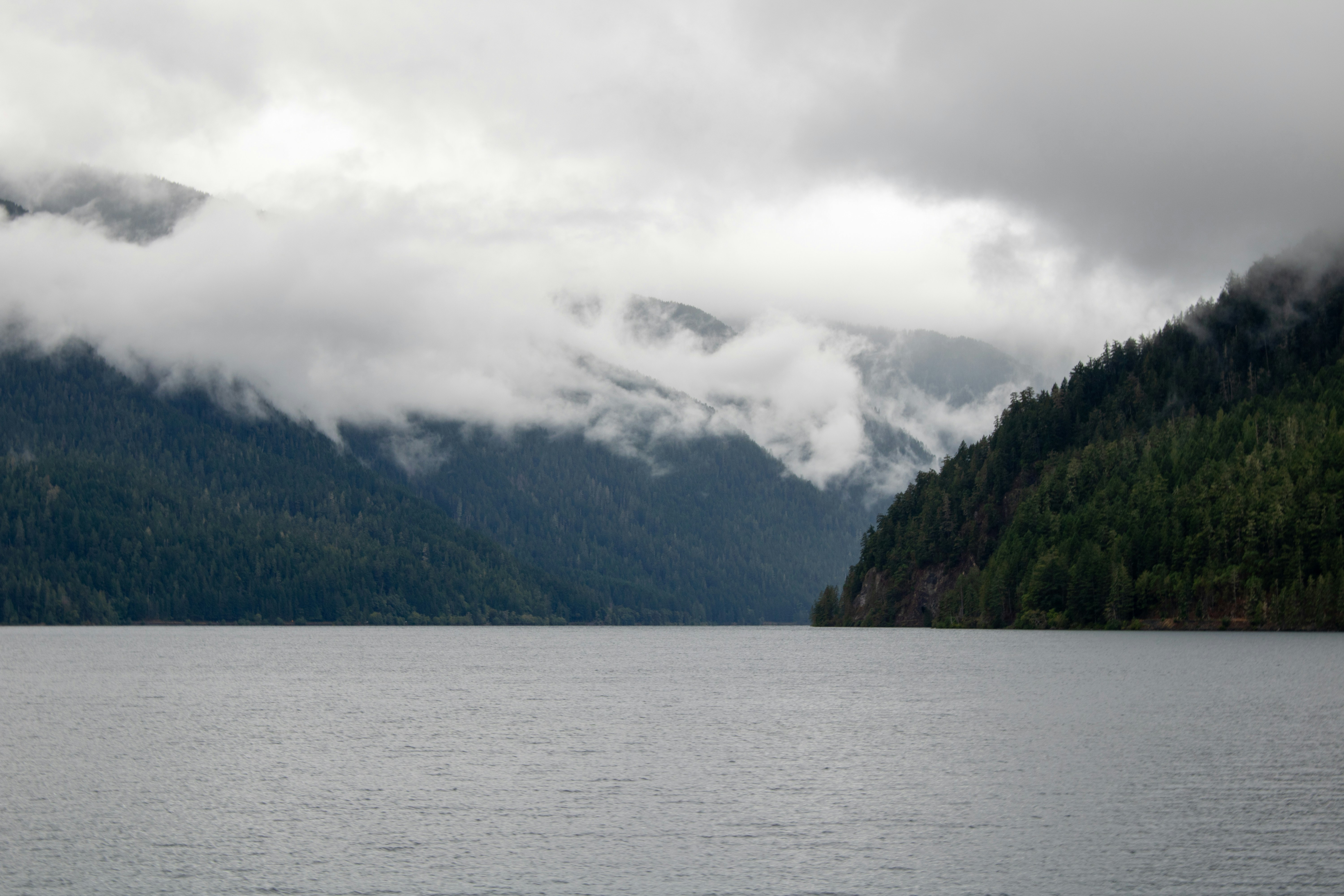 Photo by zoshuacolah