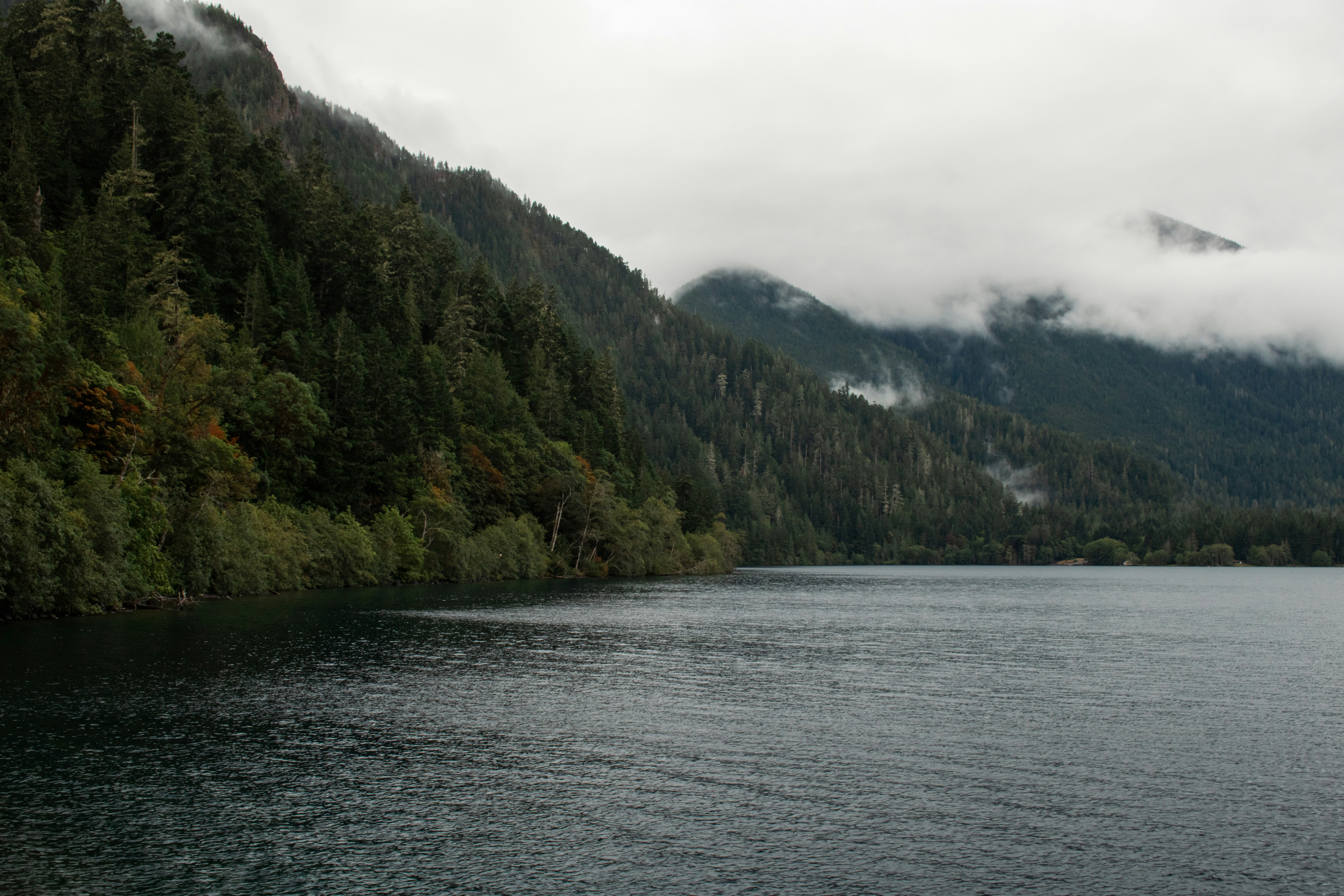 Photo by zoshuacolah