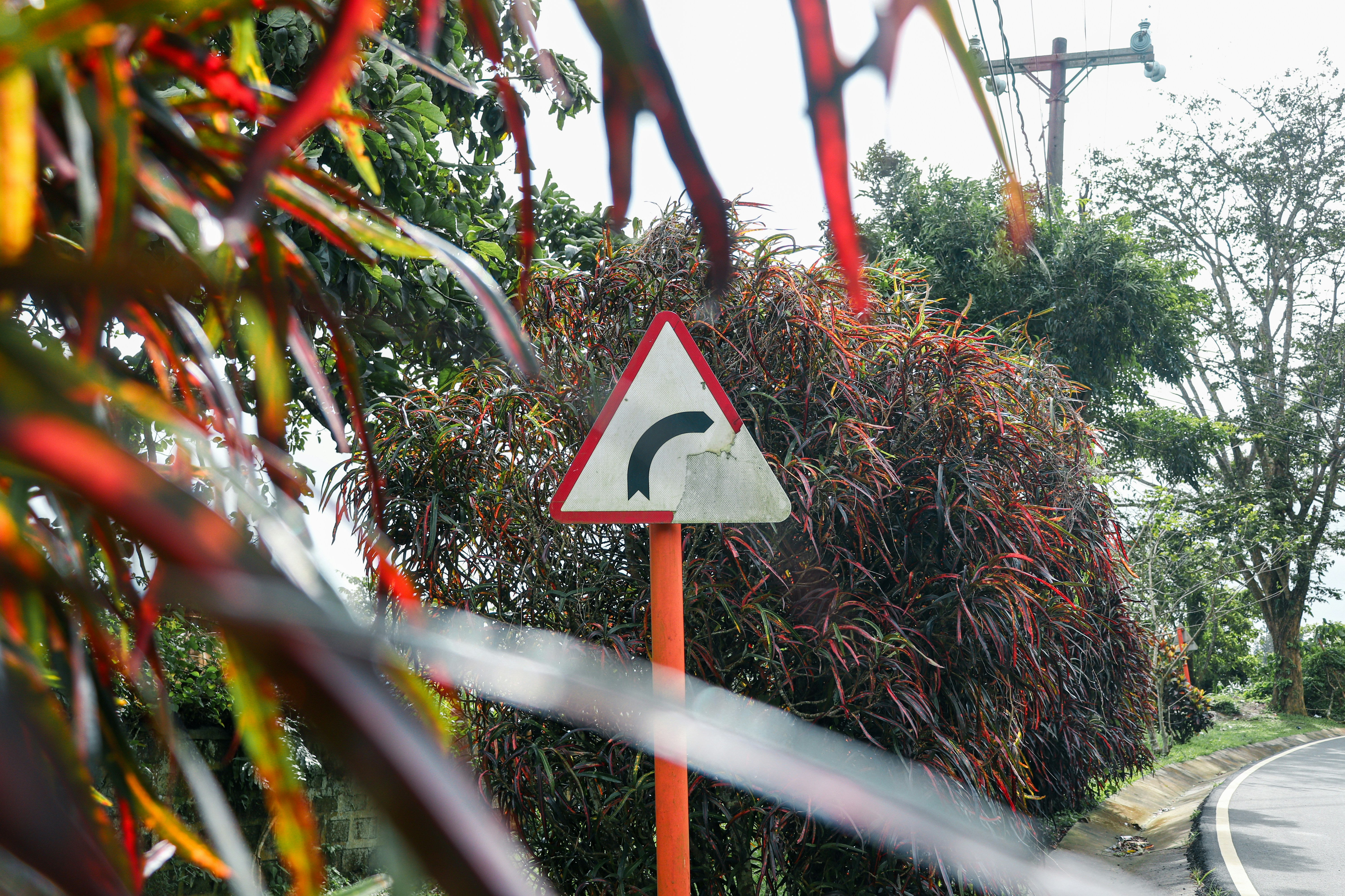 5 Signs Your Sutton Home Needs New Siding