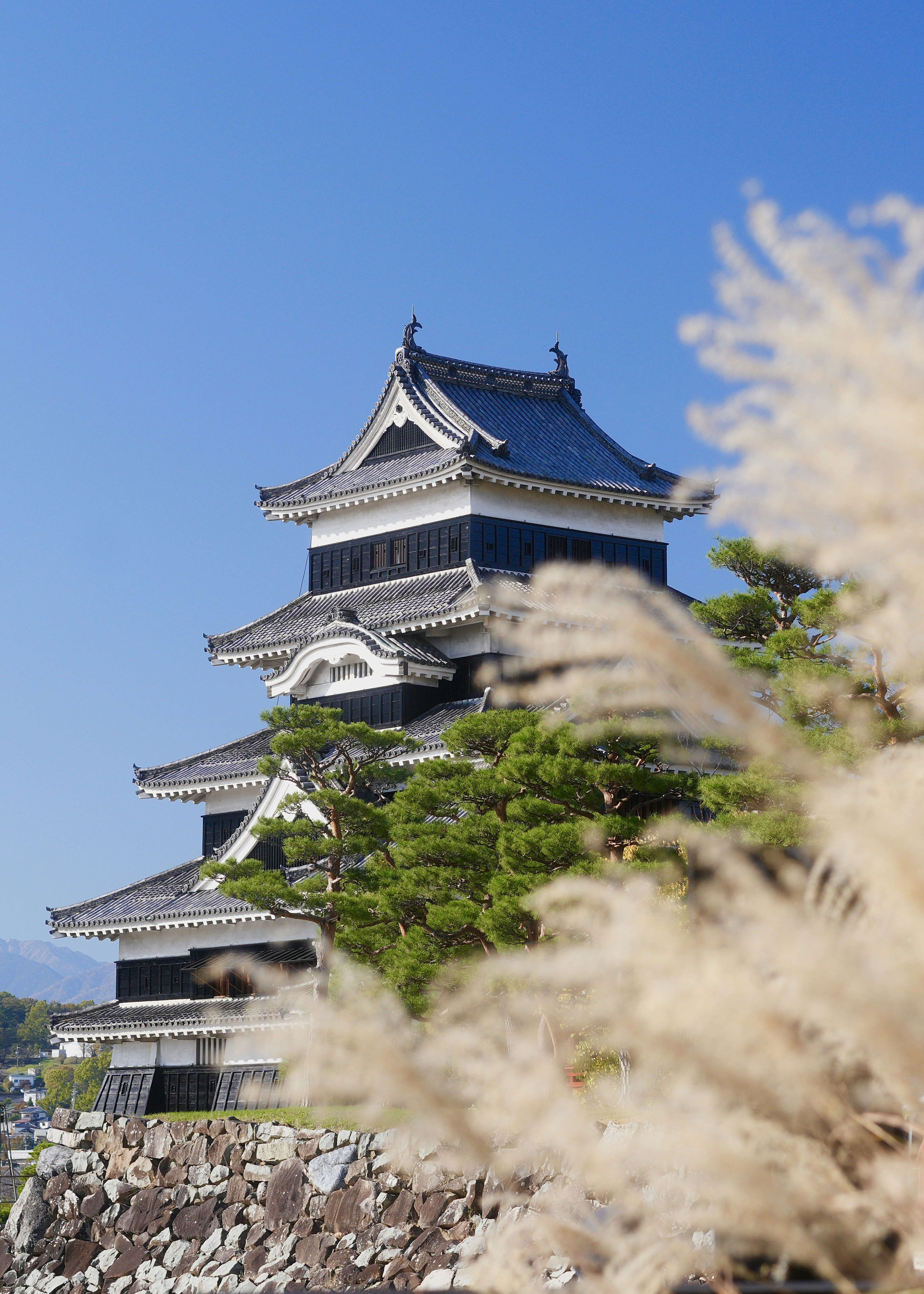 Photo by diadesigner