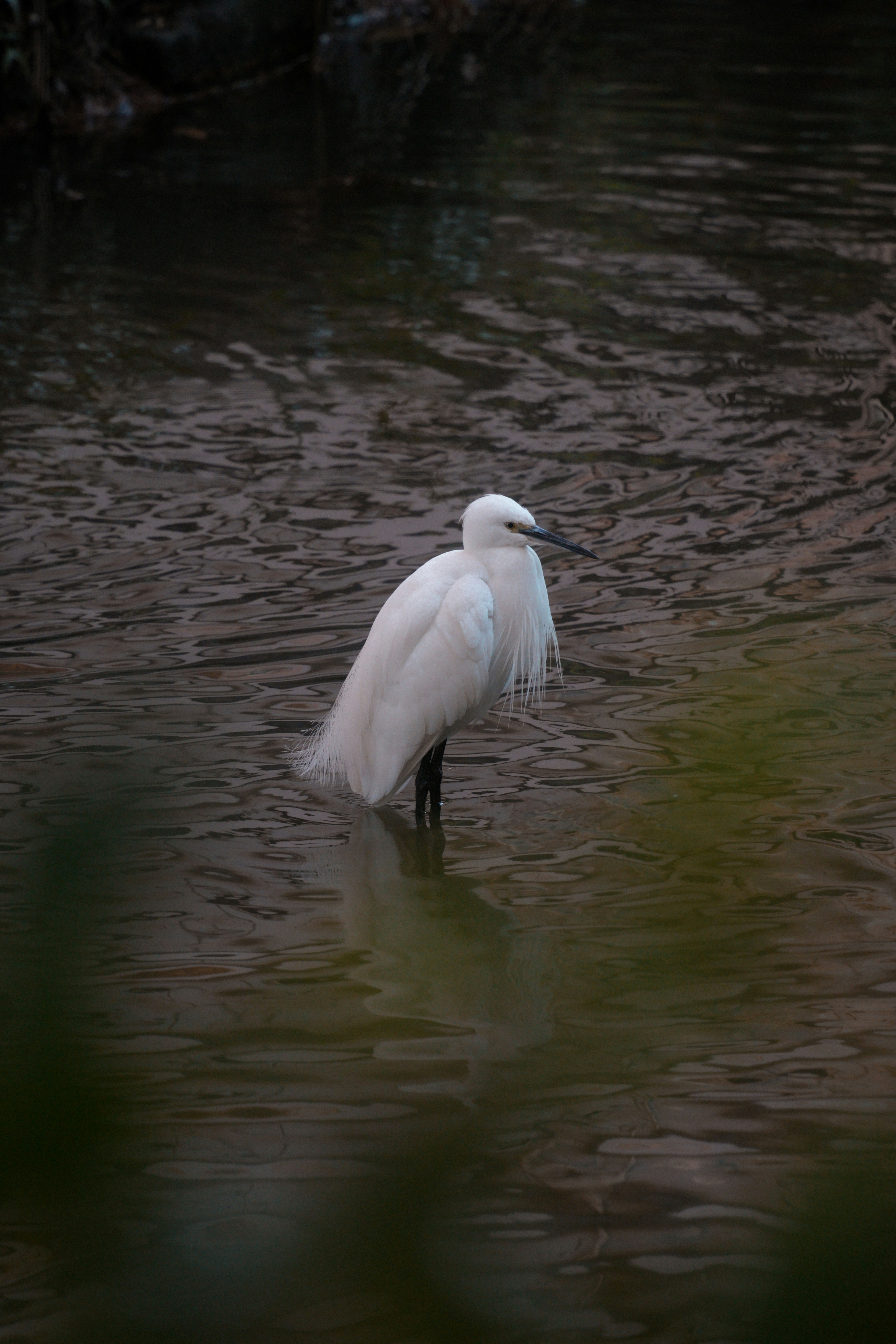 Photo by diadesigner