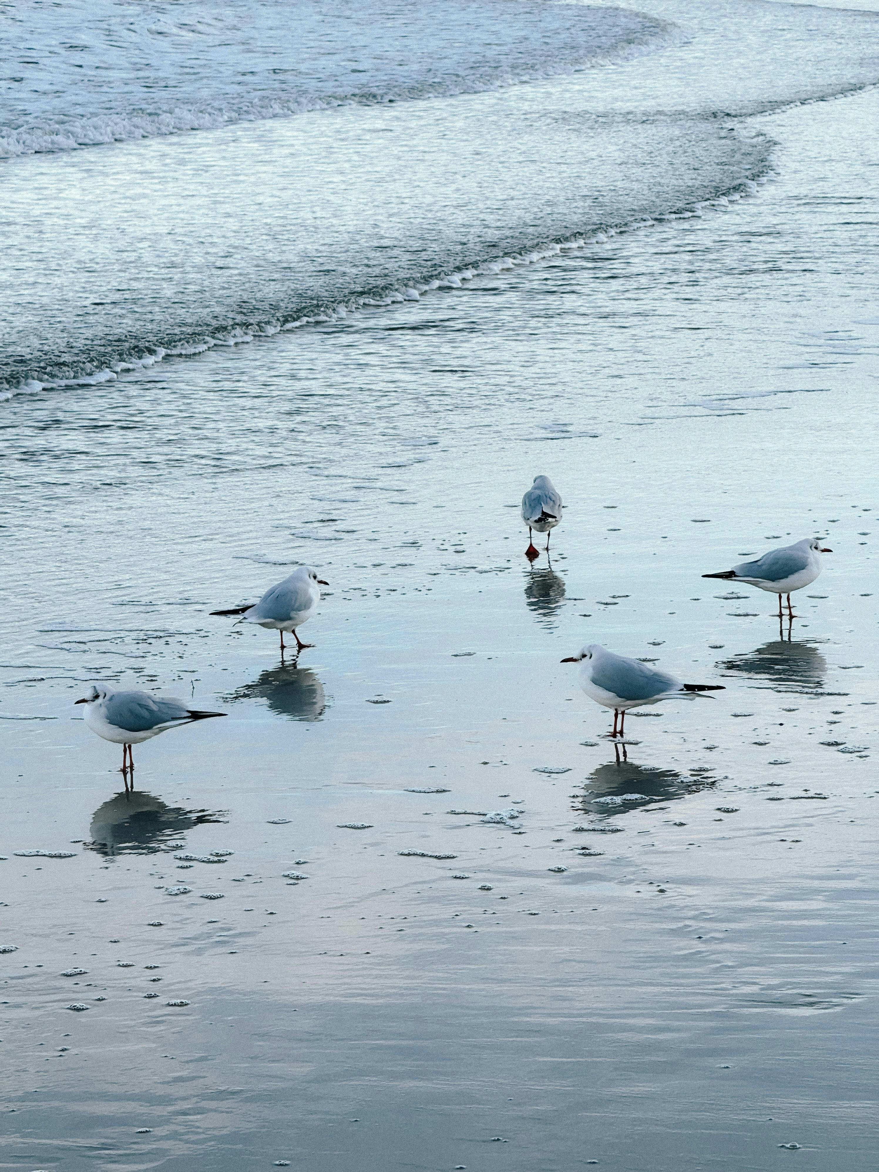 Photo by zvada_photo