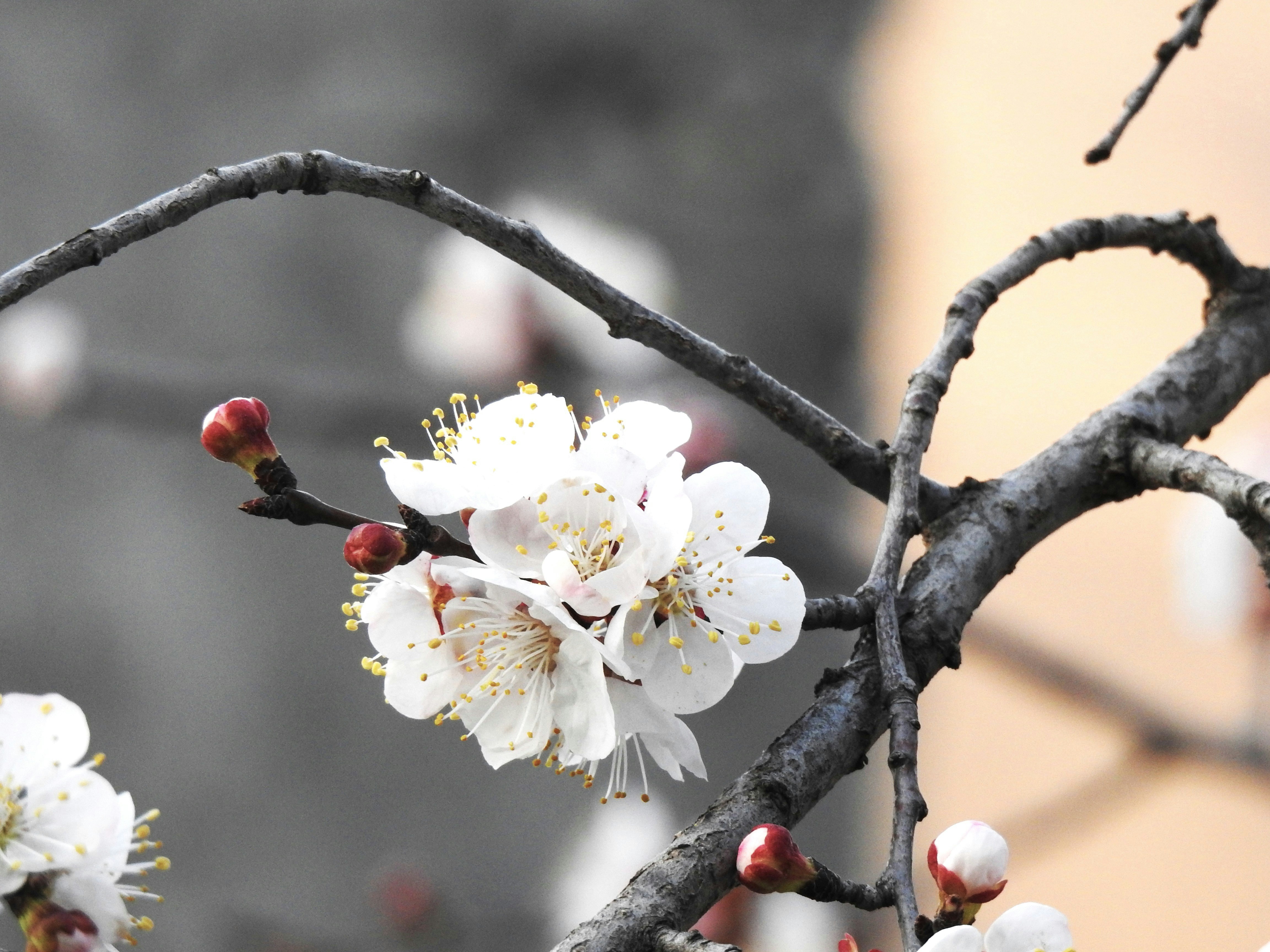 Photo by aditipanatu95