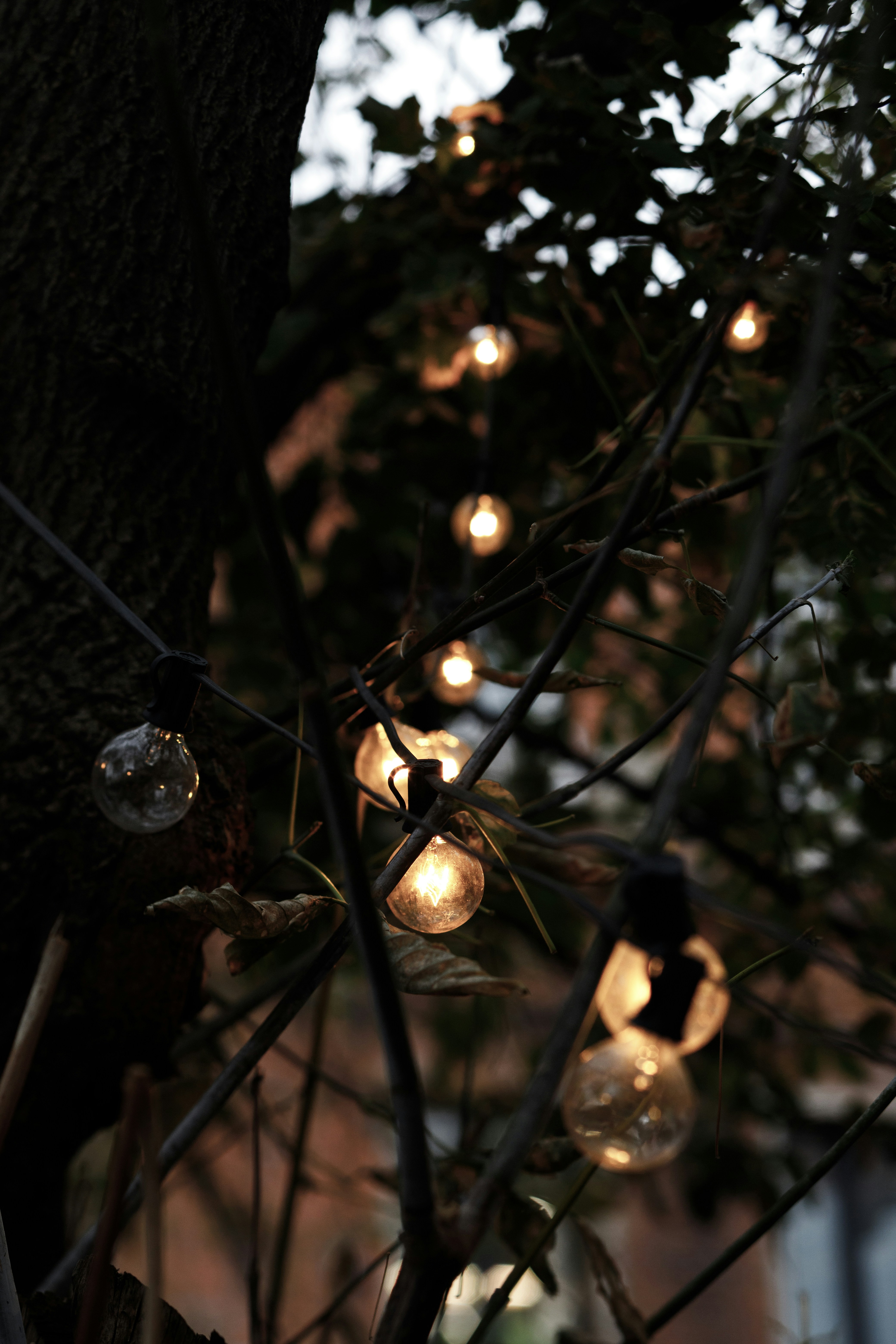 A bunch of lights that are on a tree
