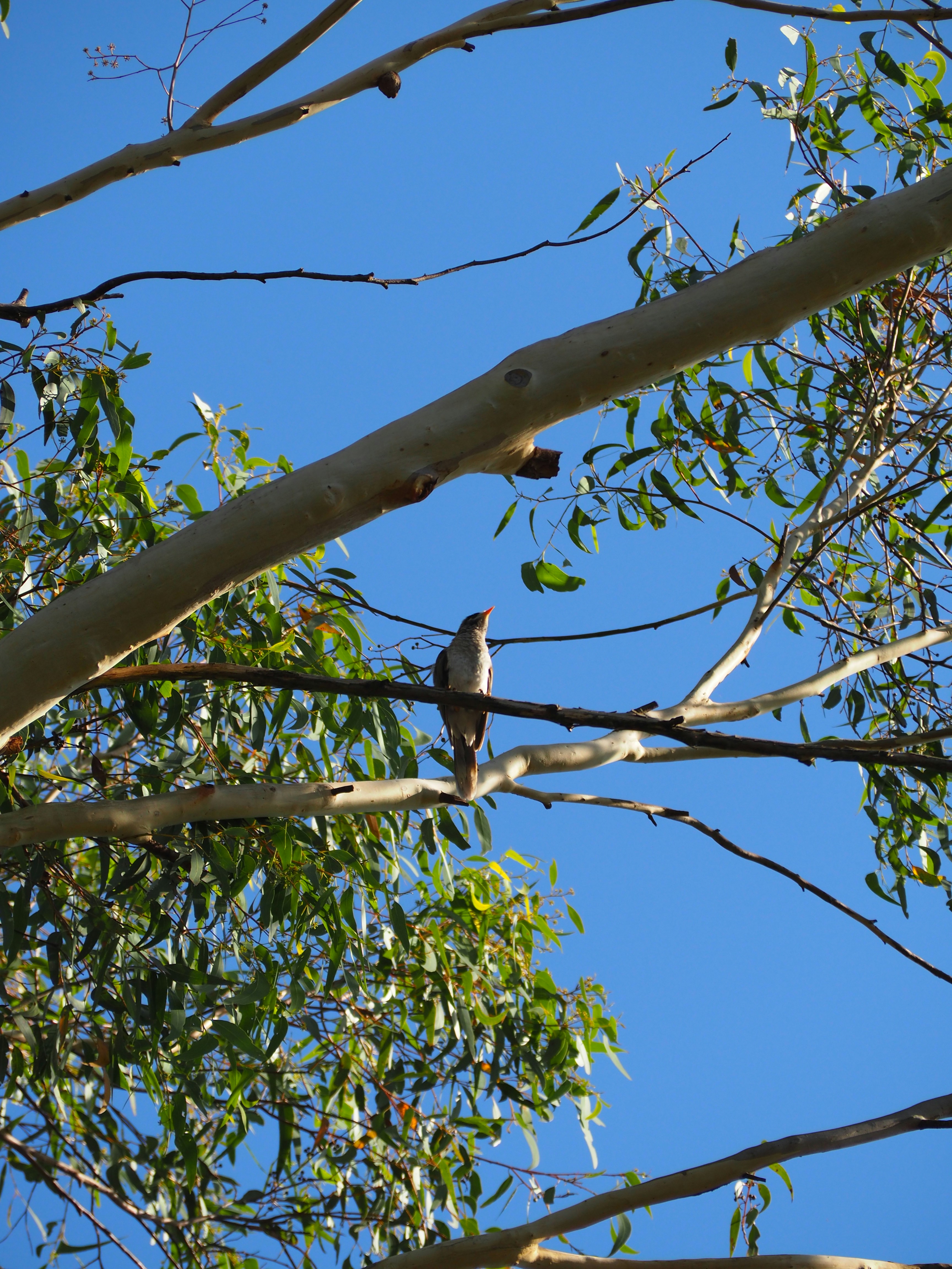 Photo by simar_thind