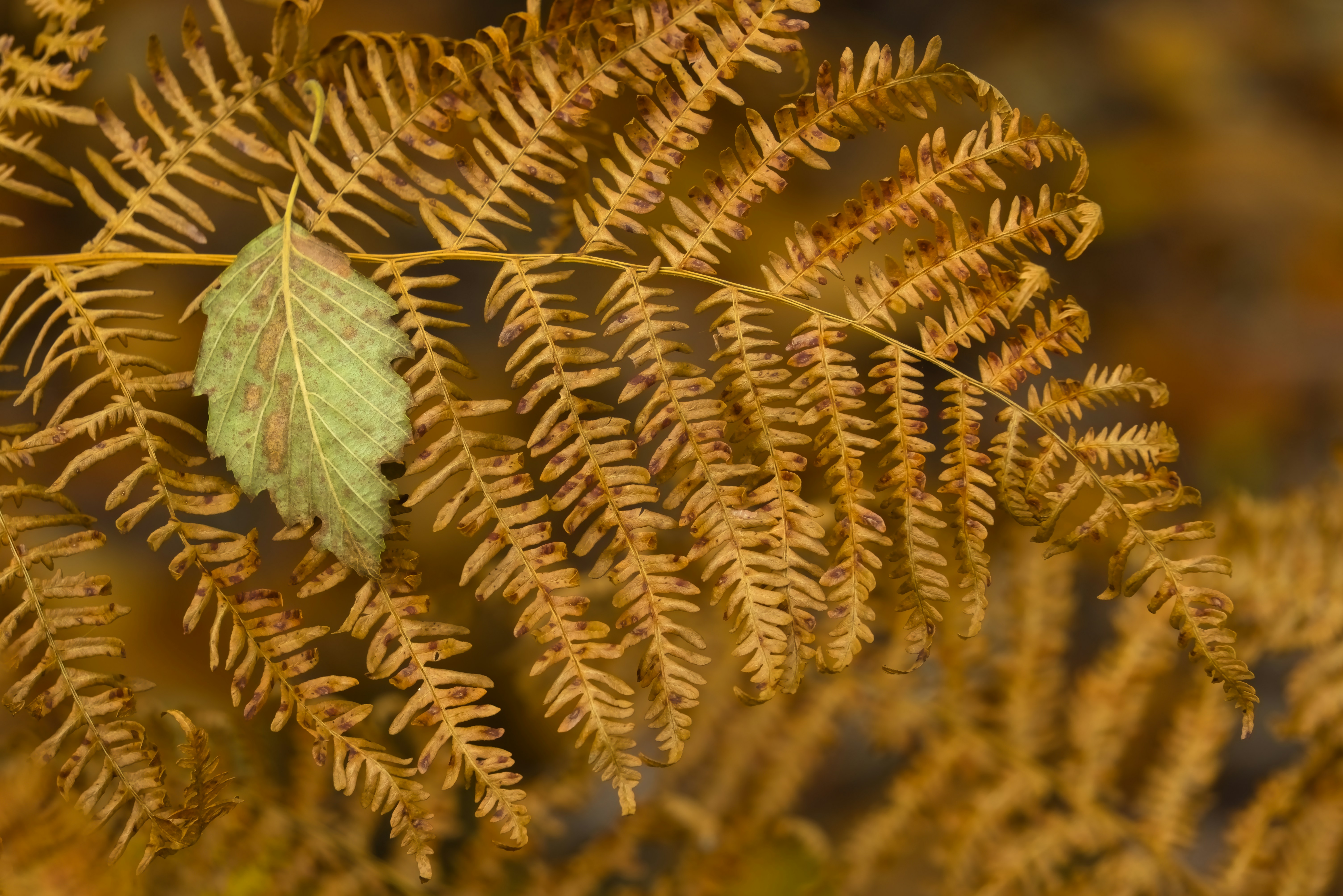 Photo by matteo_skyrider