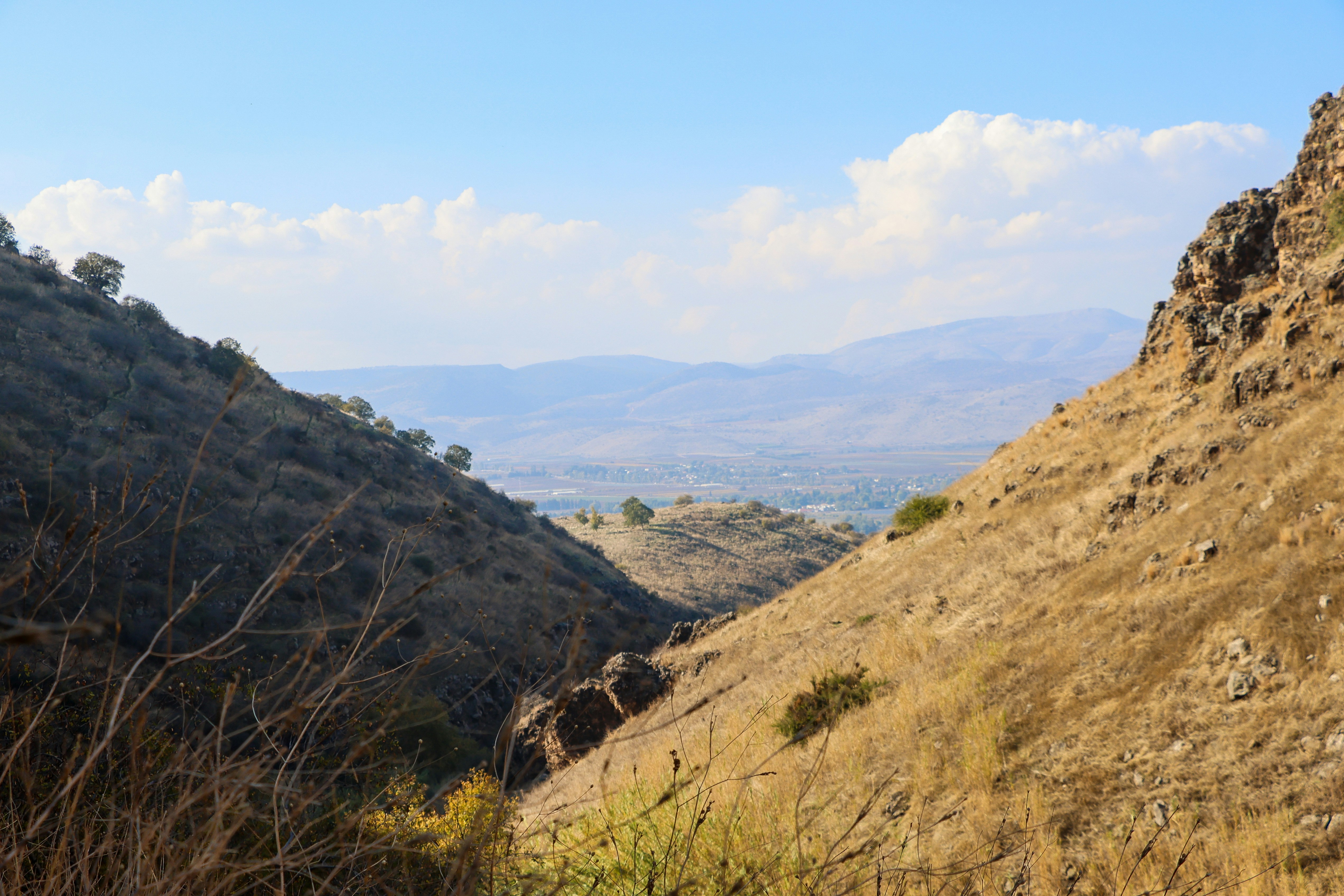 Photo by haim_charbit18