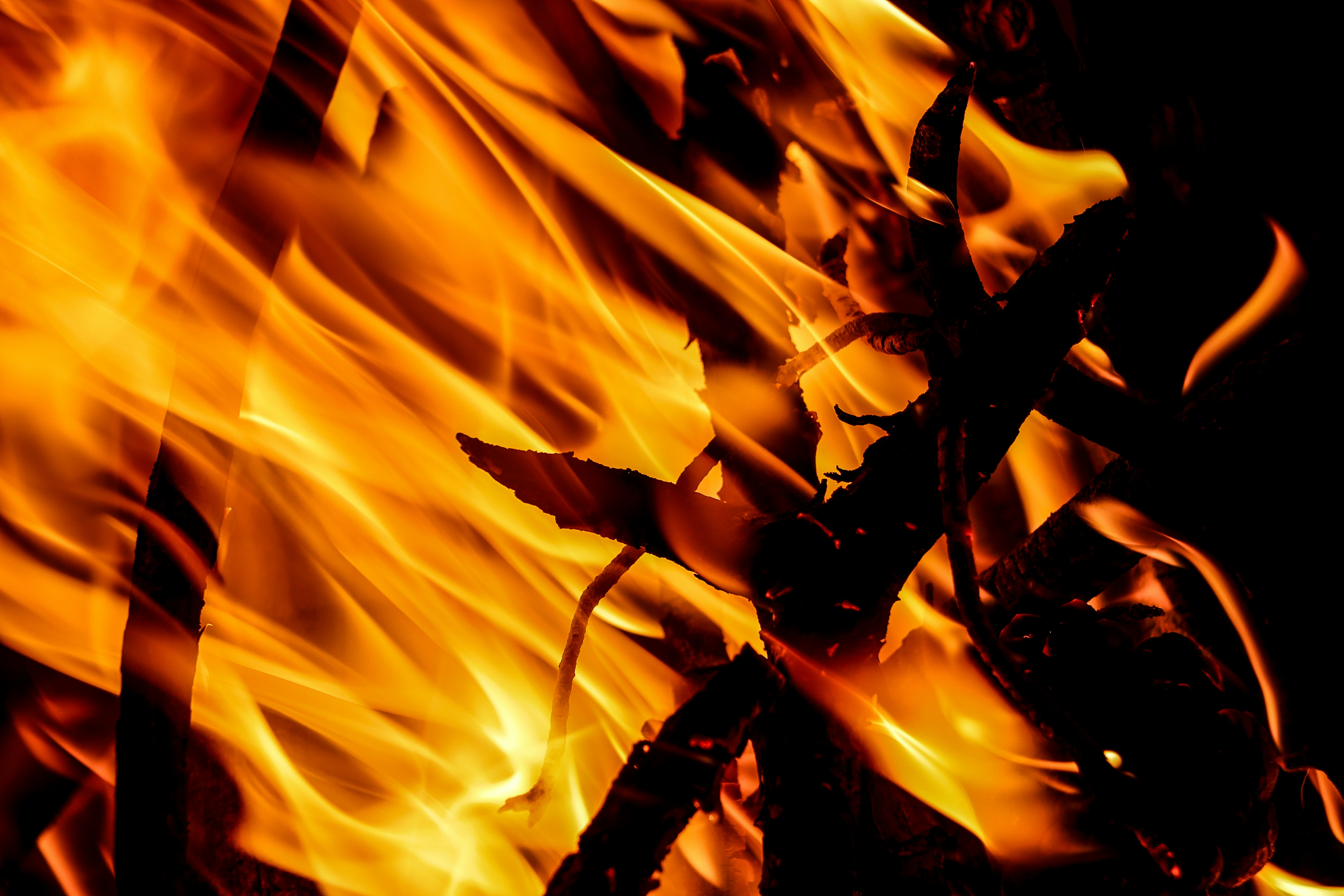 Photo by haim_charbit18