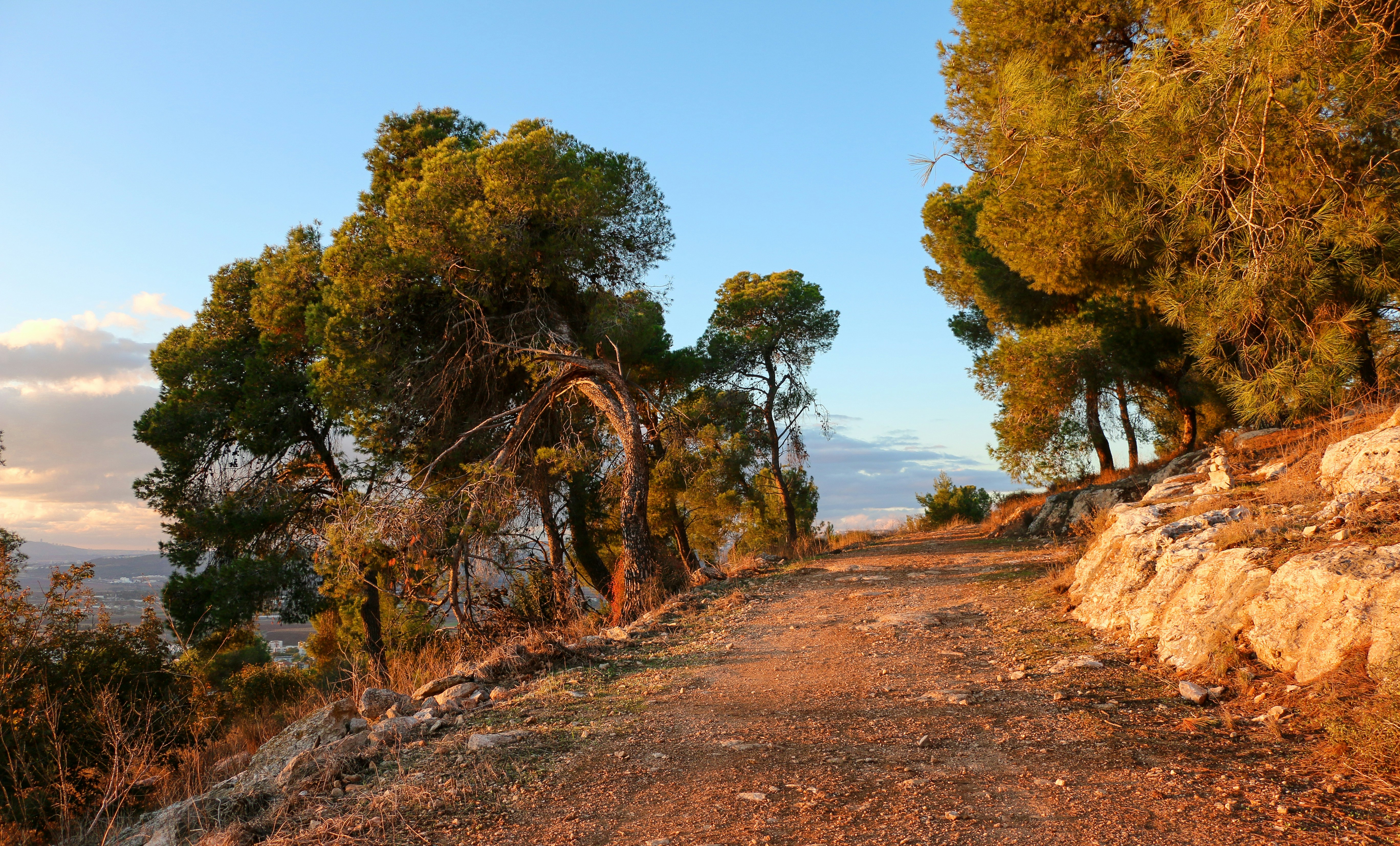 Photo by haim_charbit18