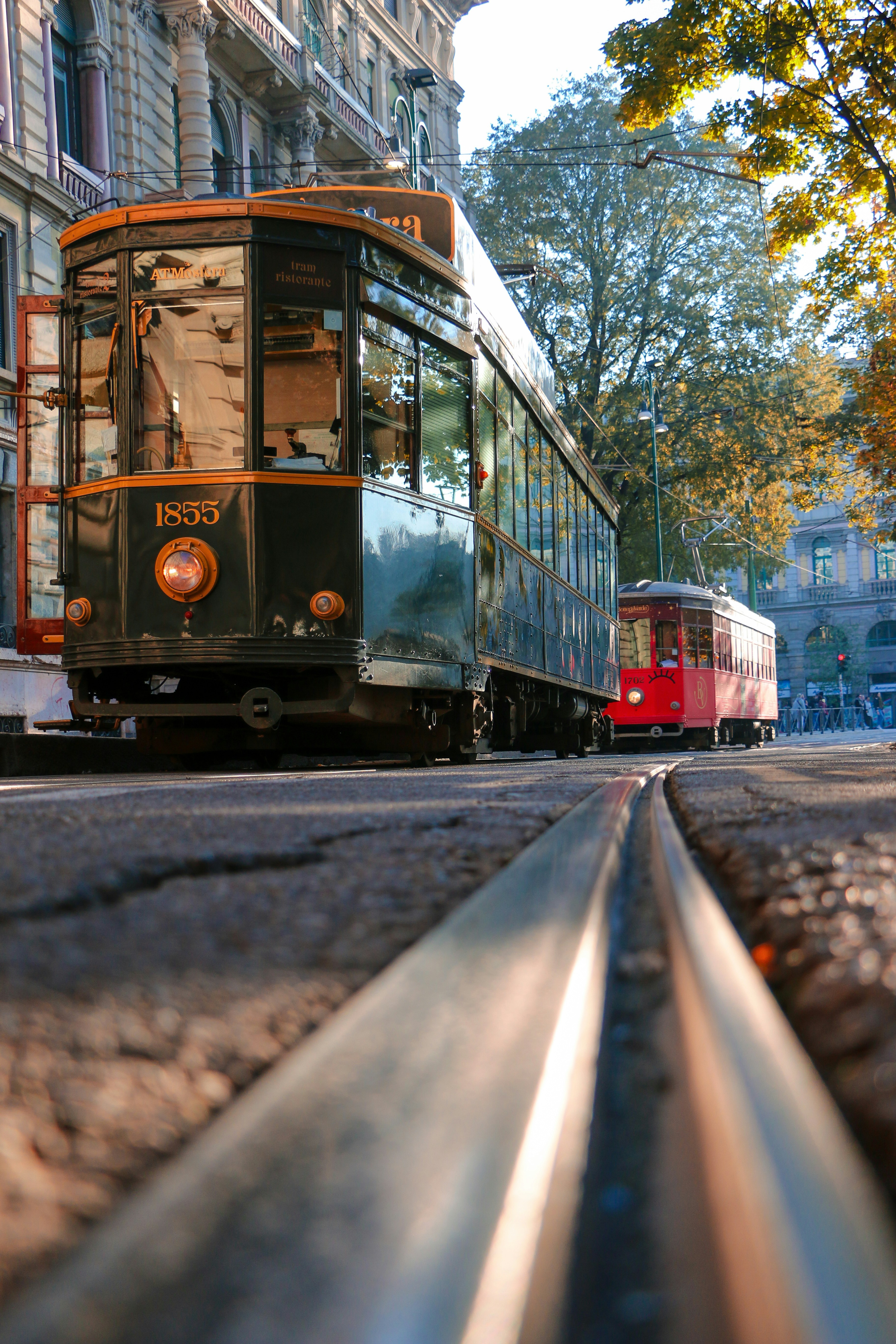 Photo by haim_charbit18