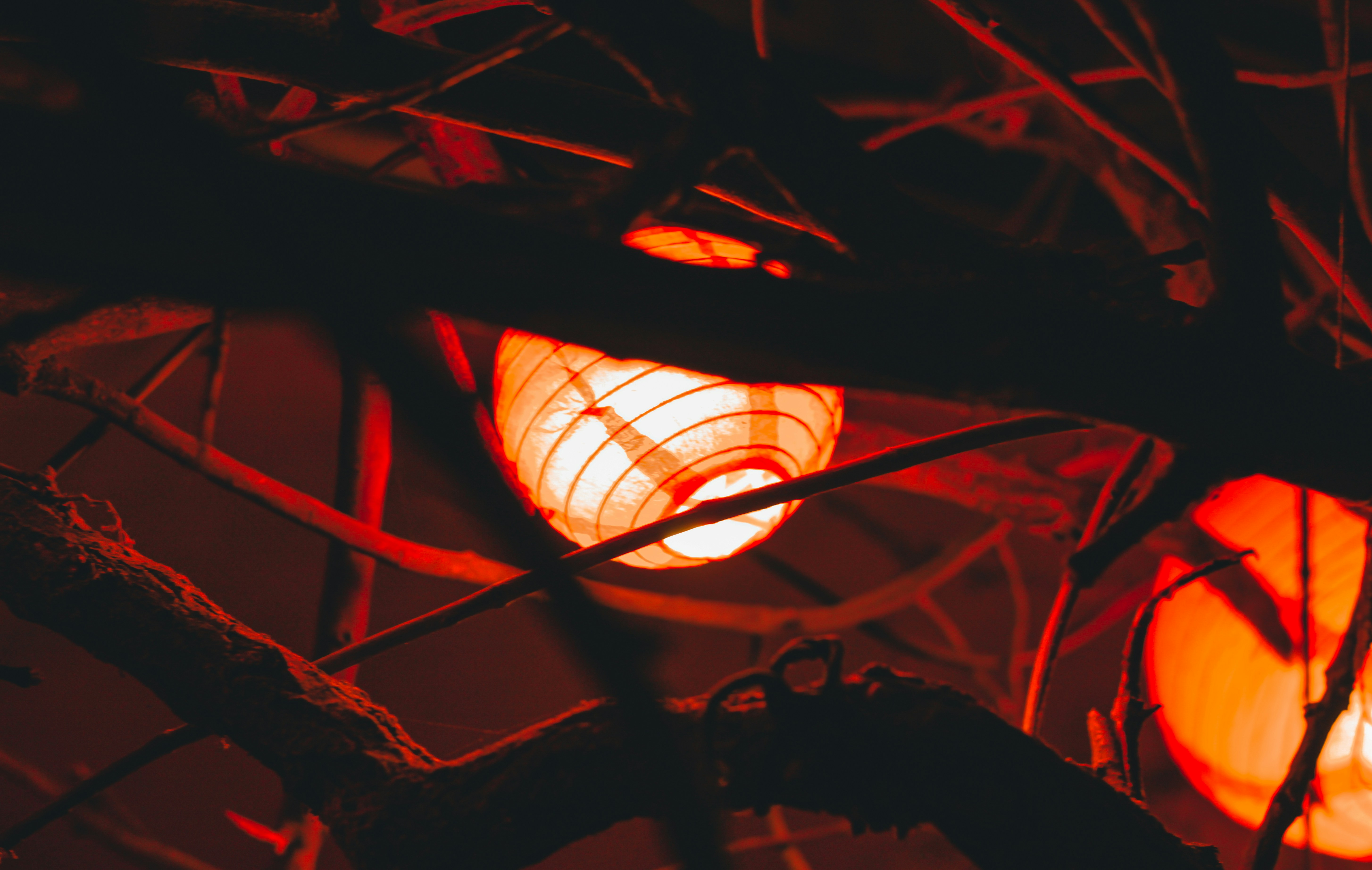 Photo by mineral_of_demon