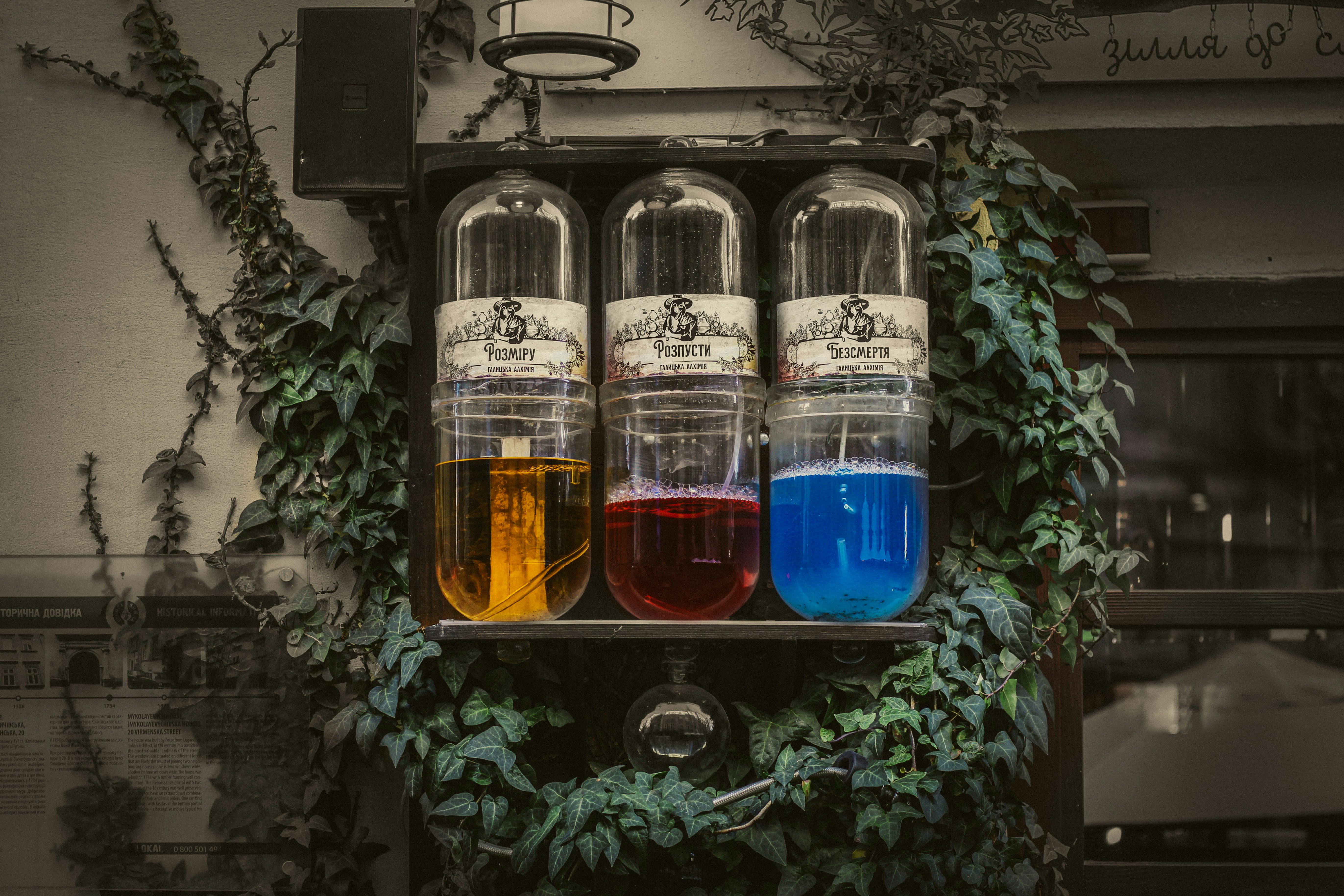 A bunch of bottles filled with liquid sitting on top of a shelf photo ...