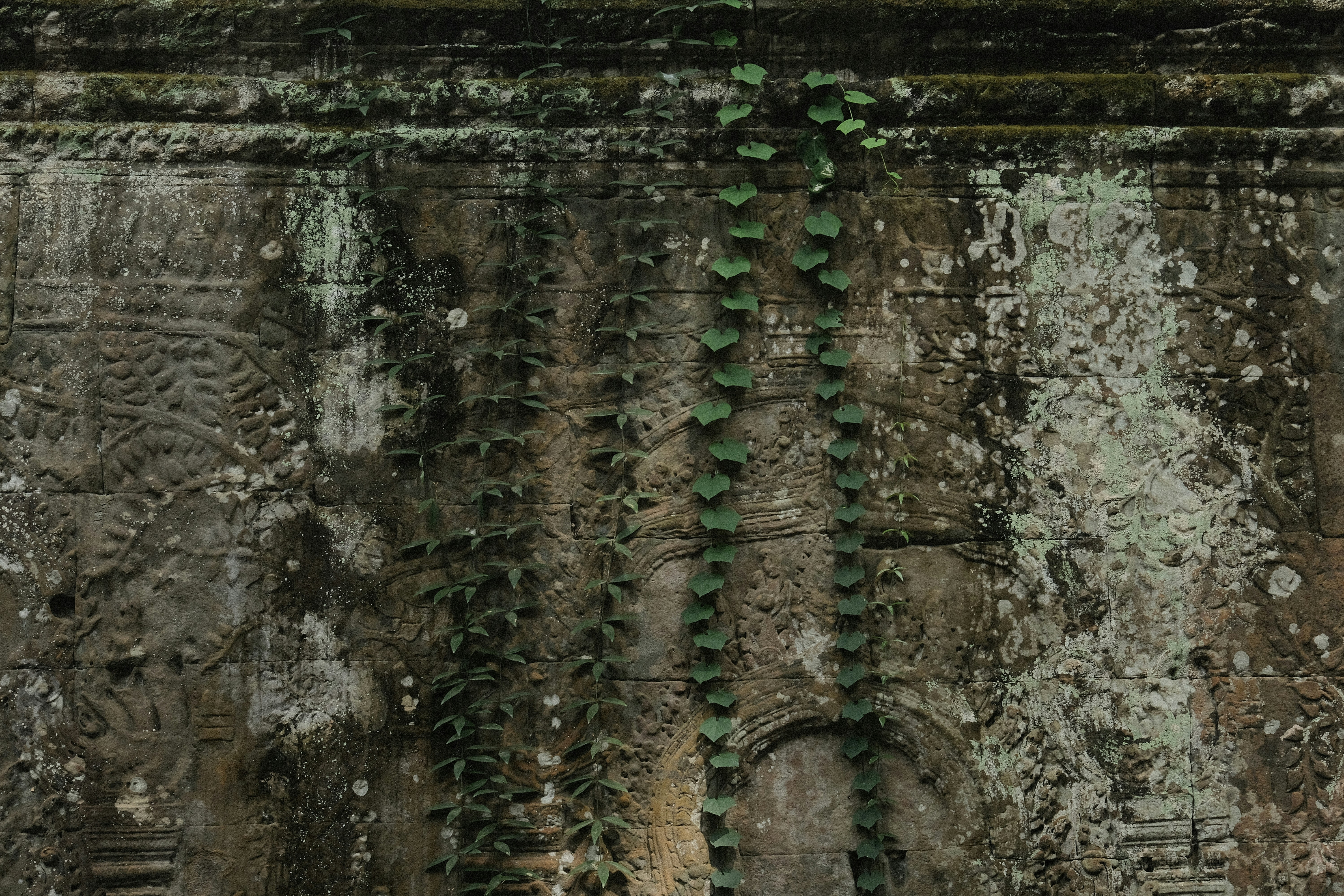 Cetatea romana Sucidava (Celeiu)