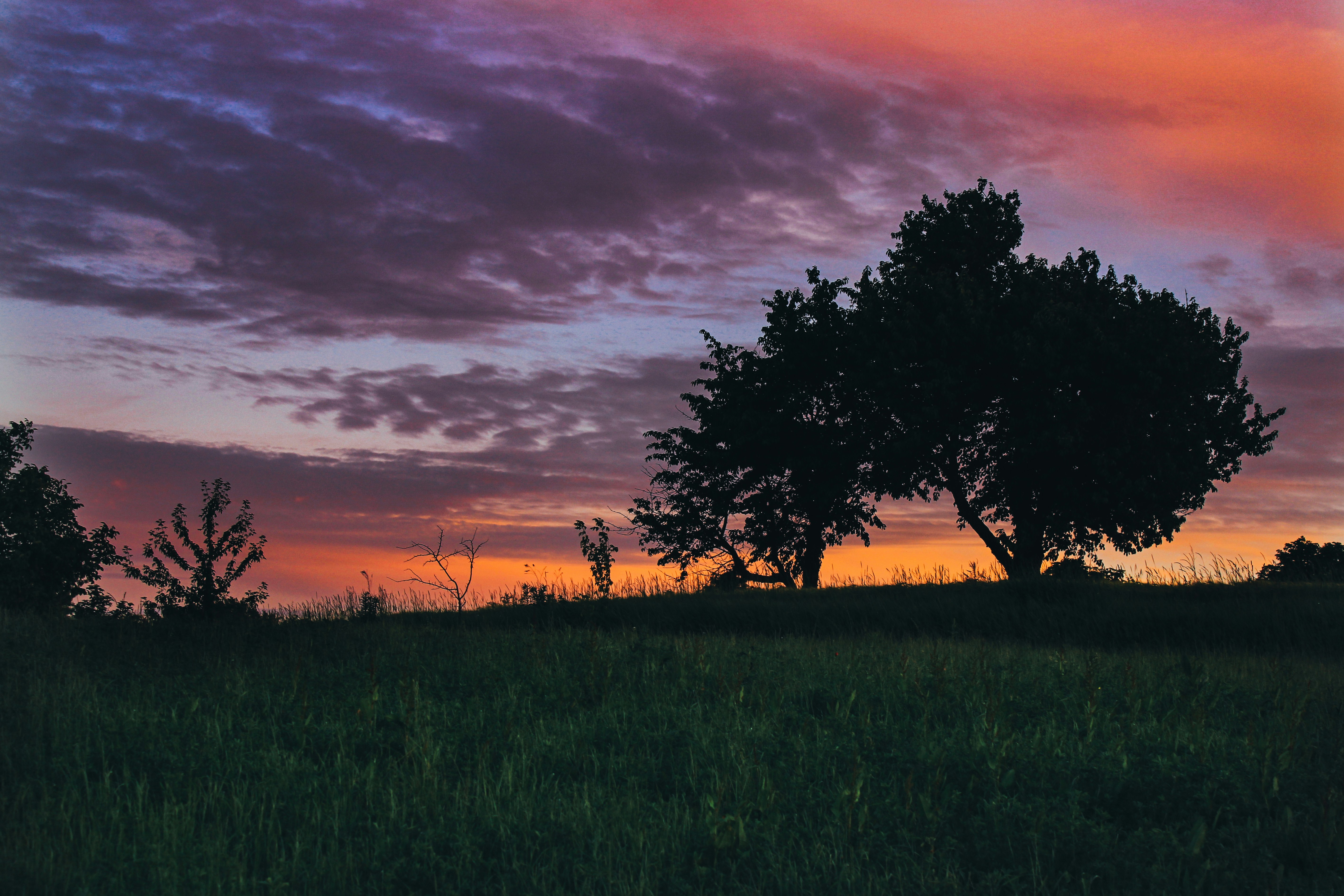 Photo by mineral_of_demon