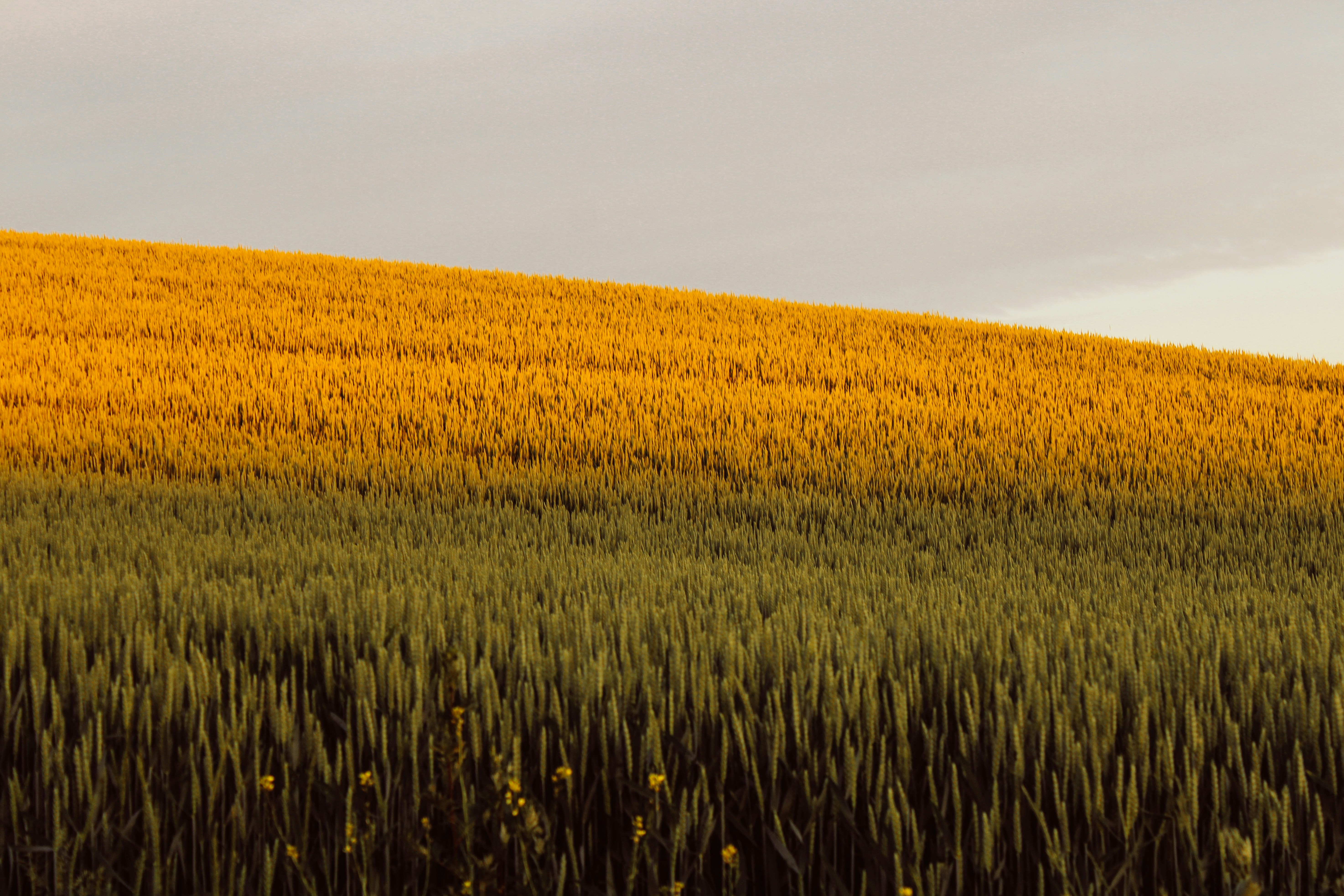 Photo by mineral_of_demon