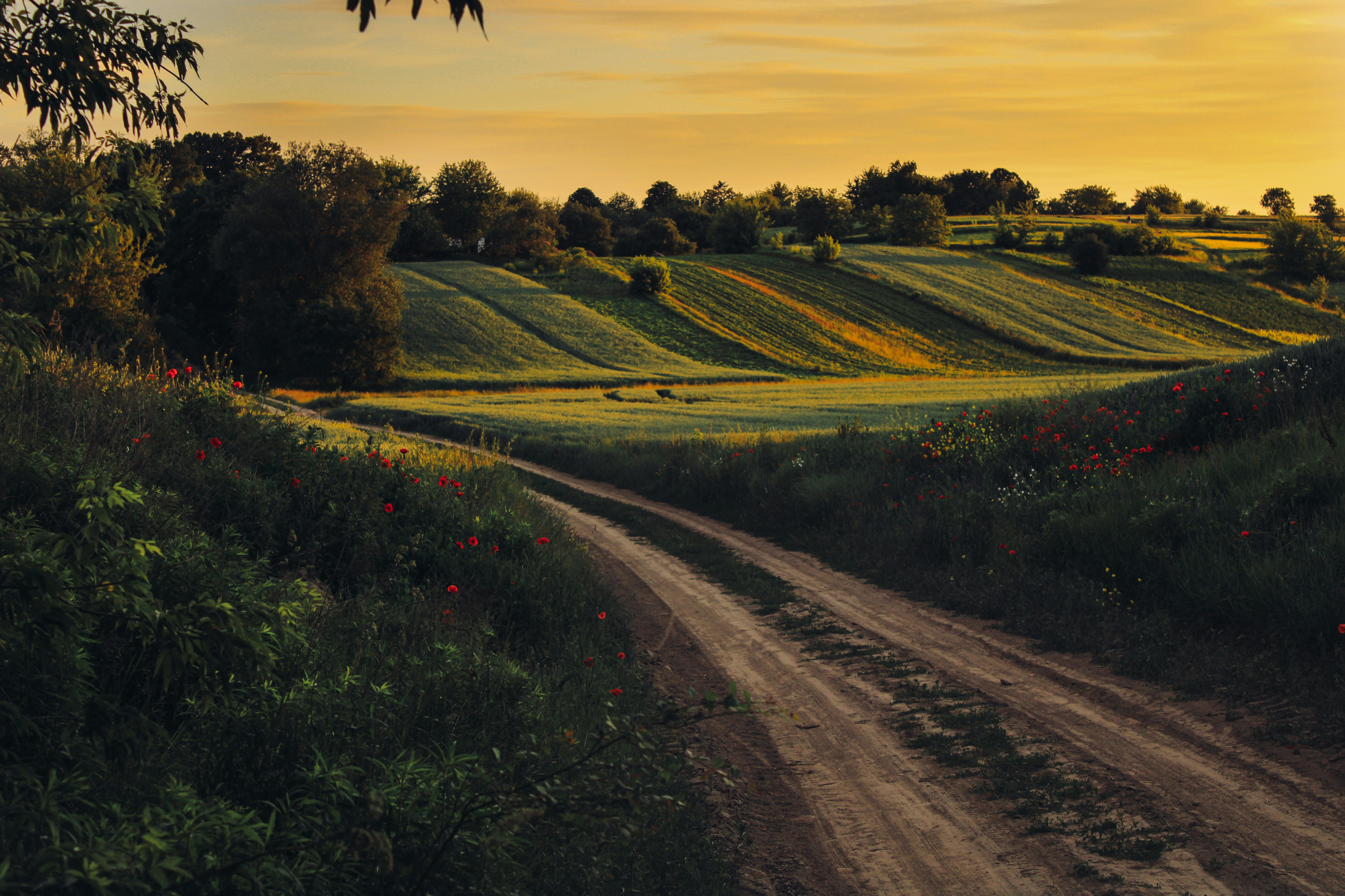 Photo by mineral_of_demon