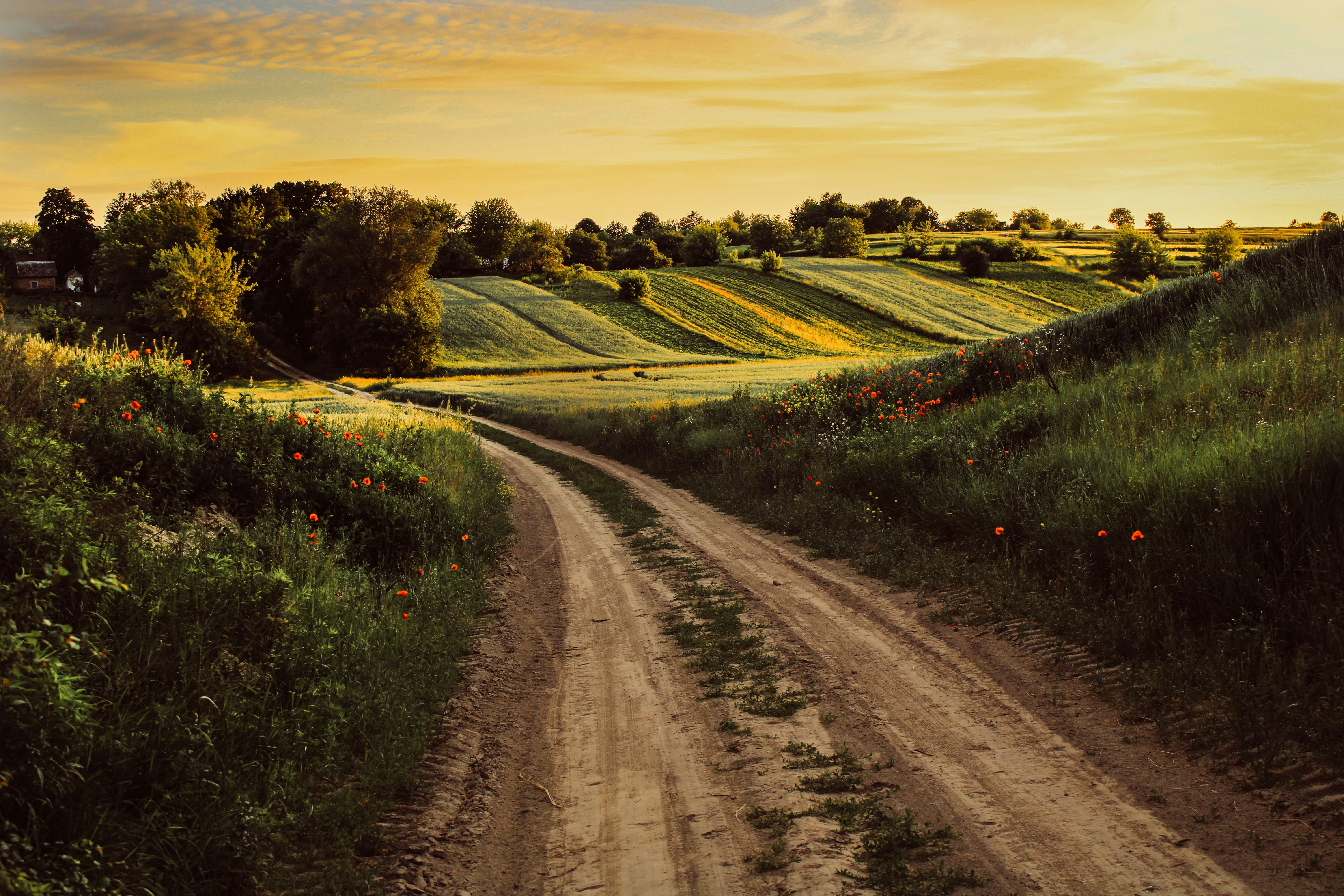 Photo by mineral_of_demon