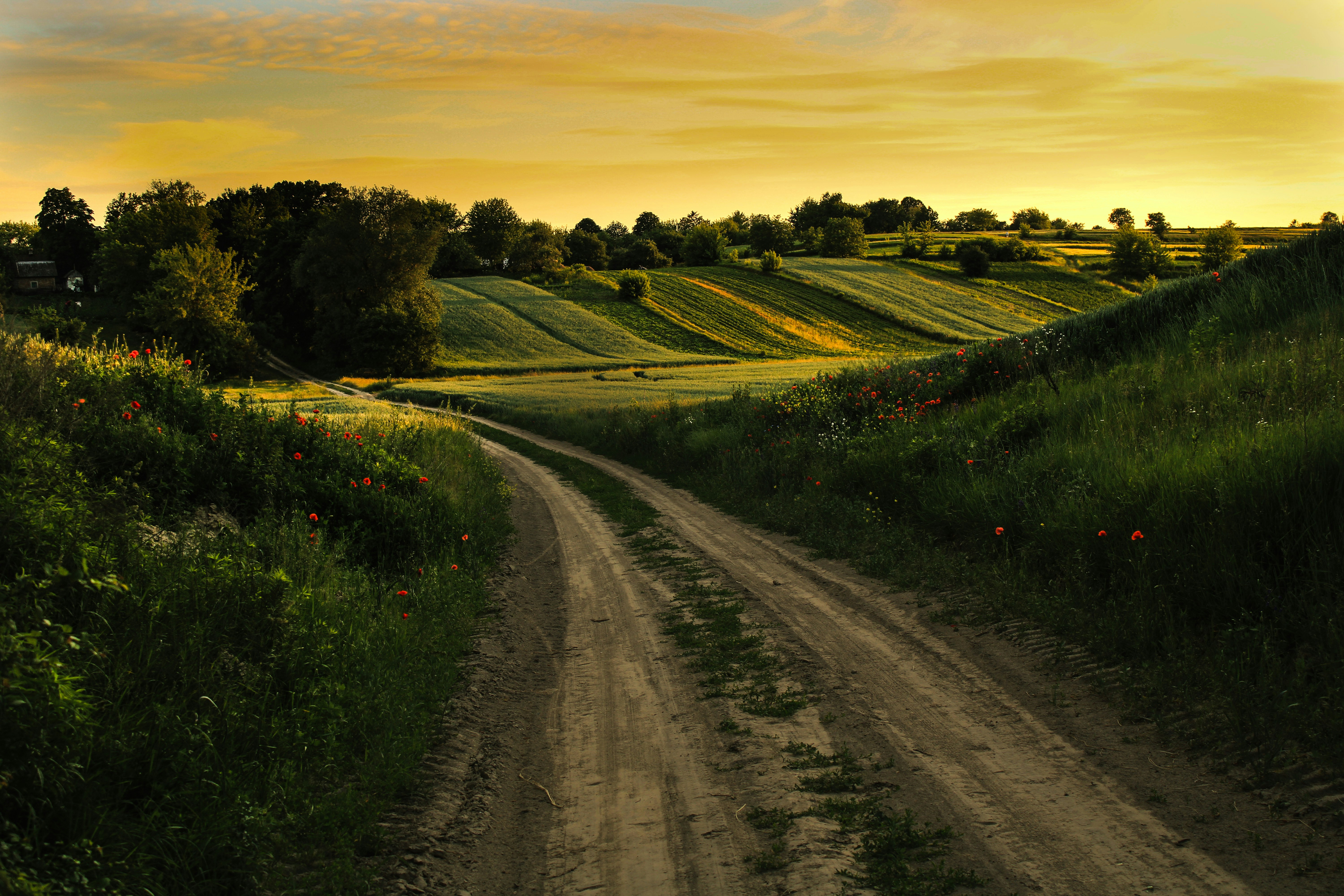 Photo by mineral_of_demon