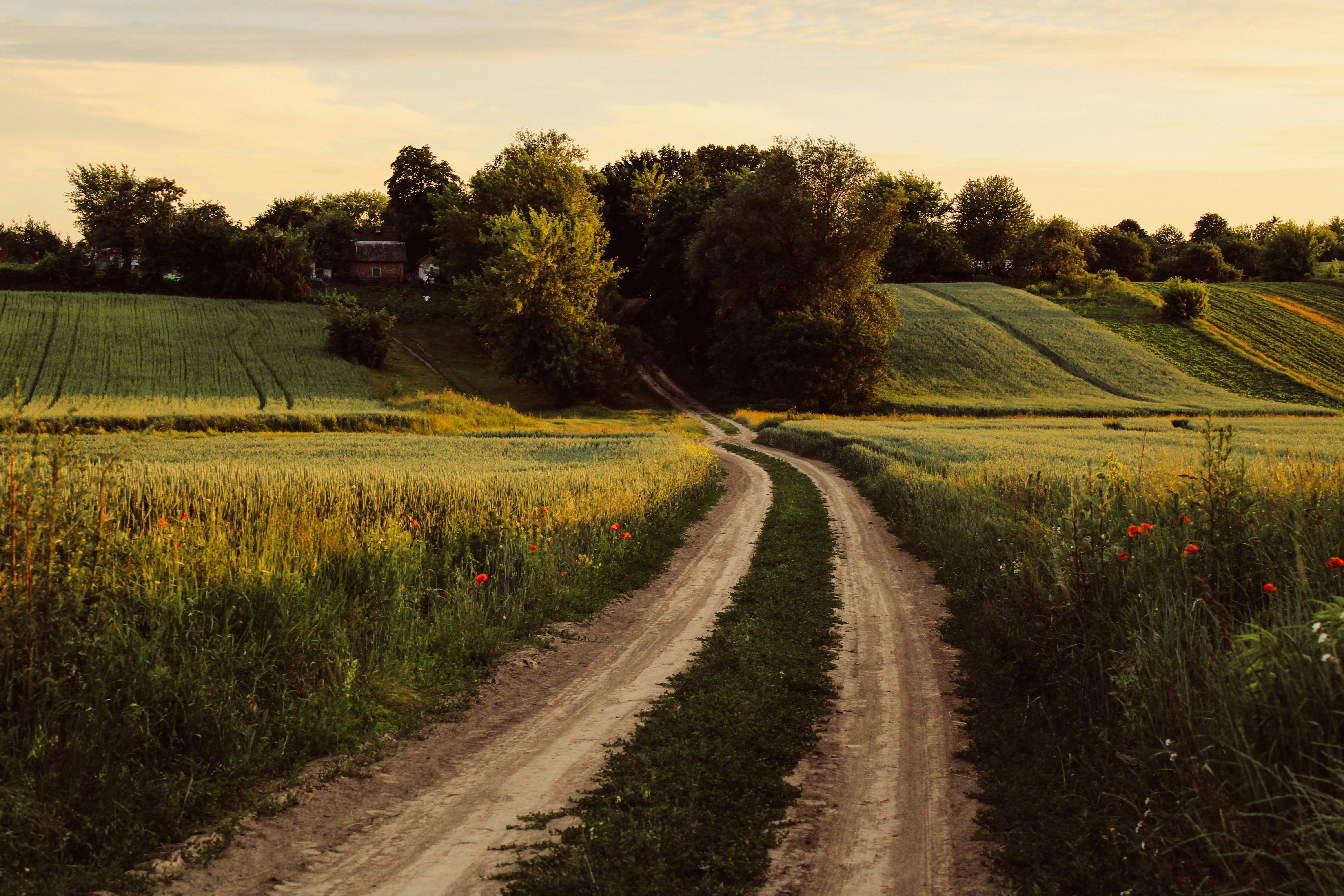 Photo by mineral_of_demon