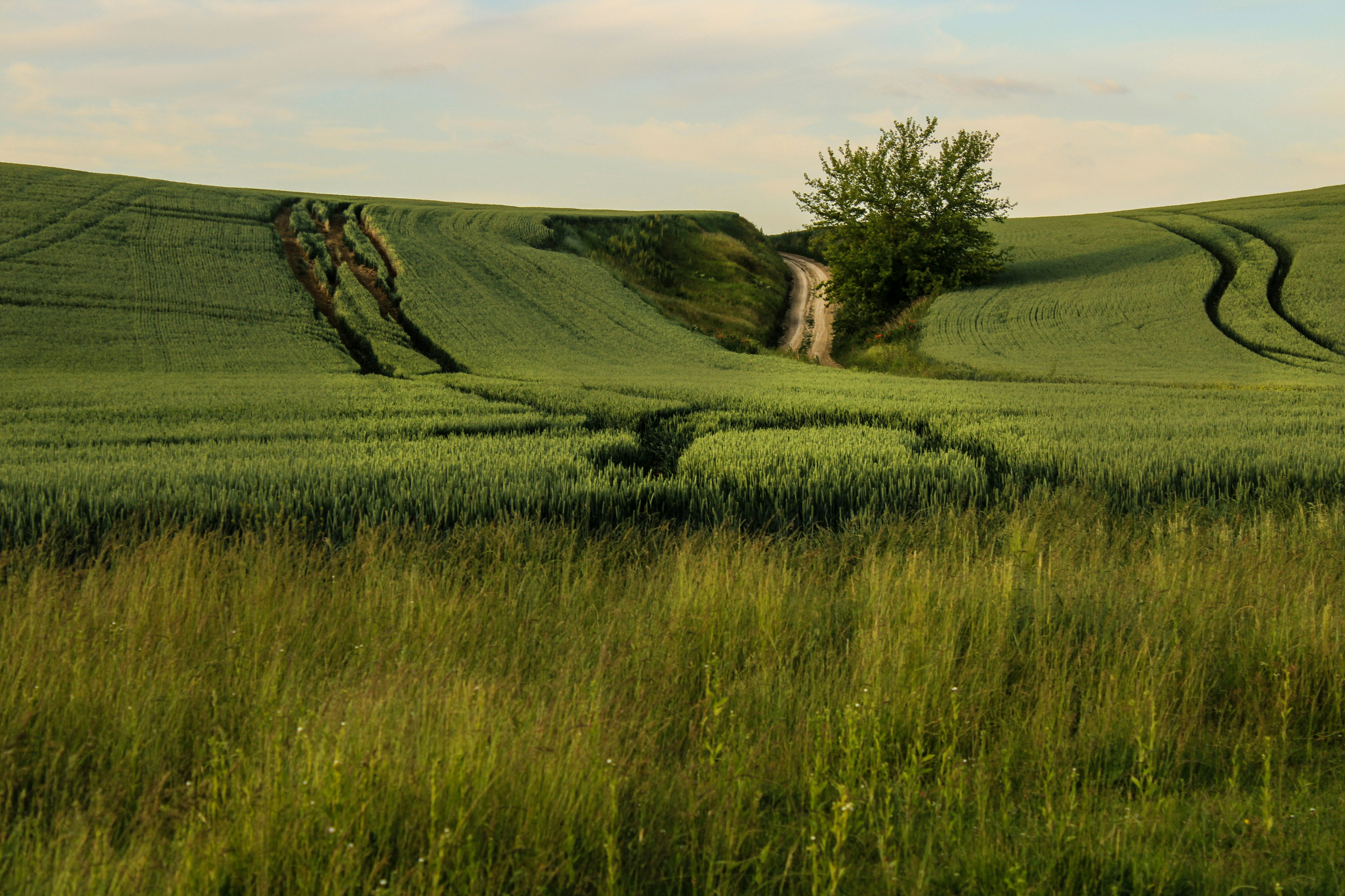 Photo by mineral_of_demon