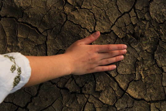 A person's hand reaching out to touch the ground