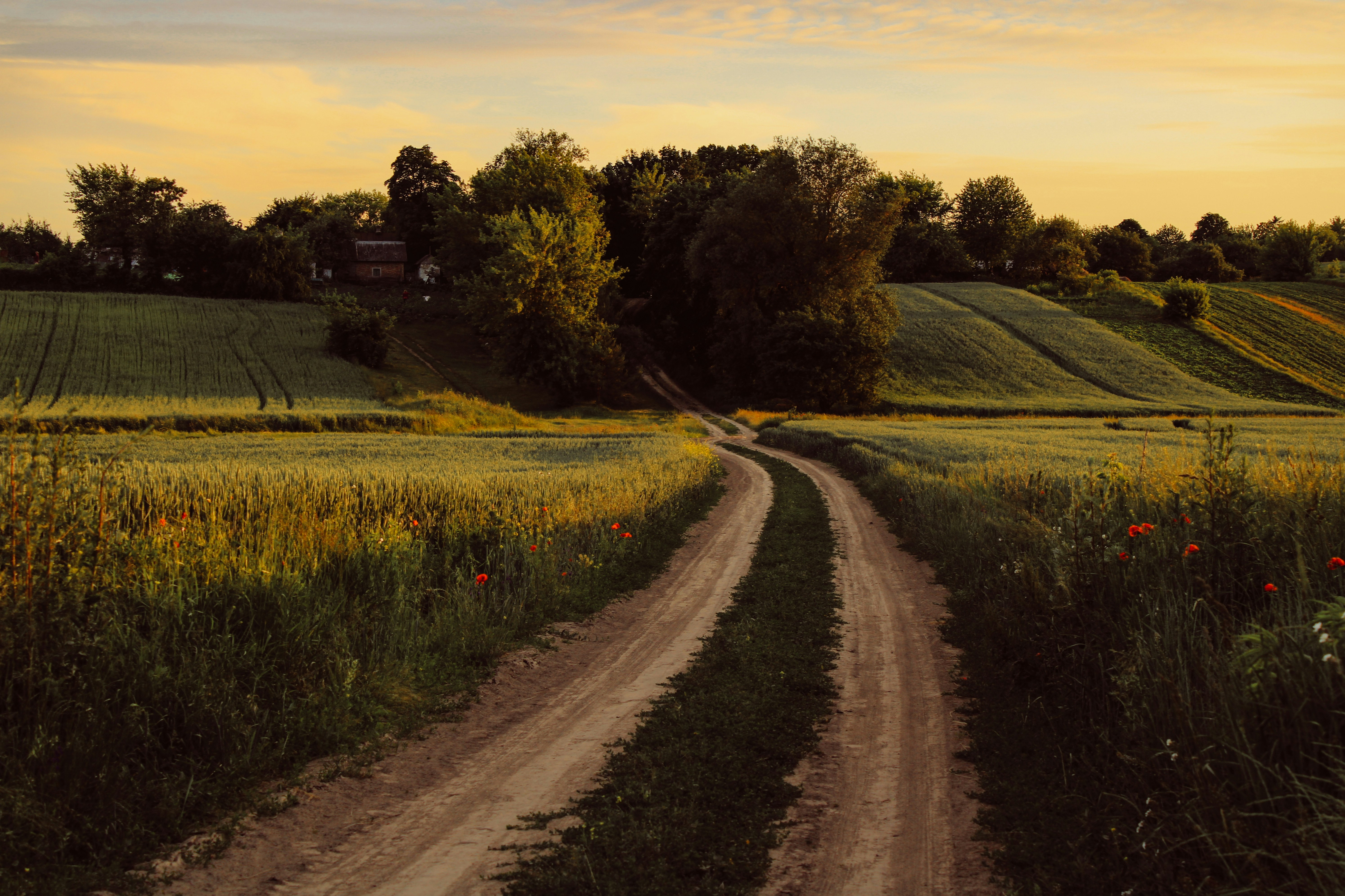 Photo by mineral_of_demon