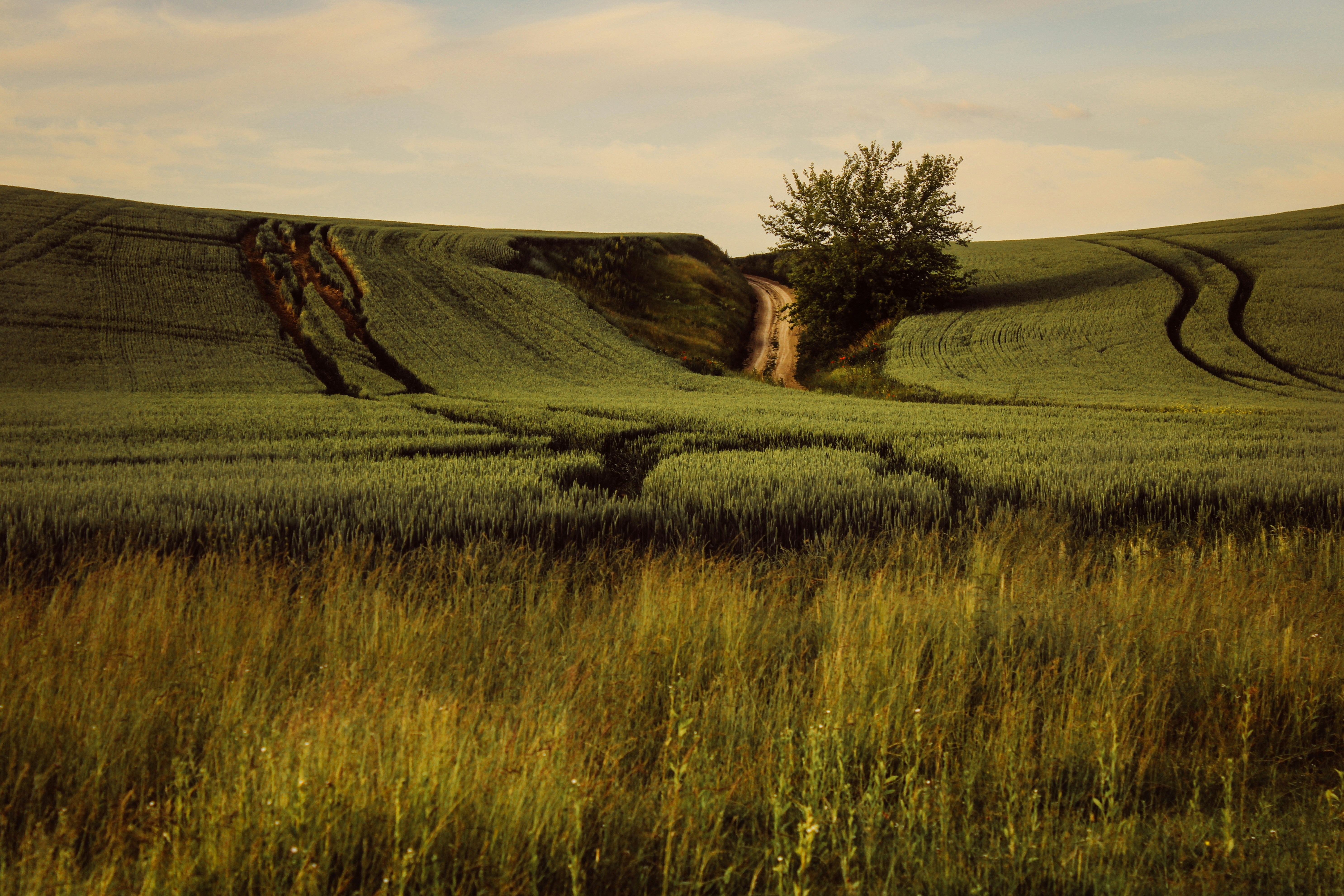 Photo by mineral_of_demon