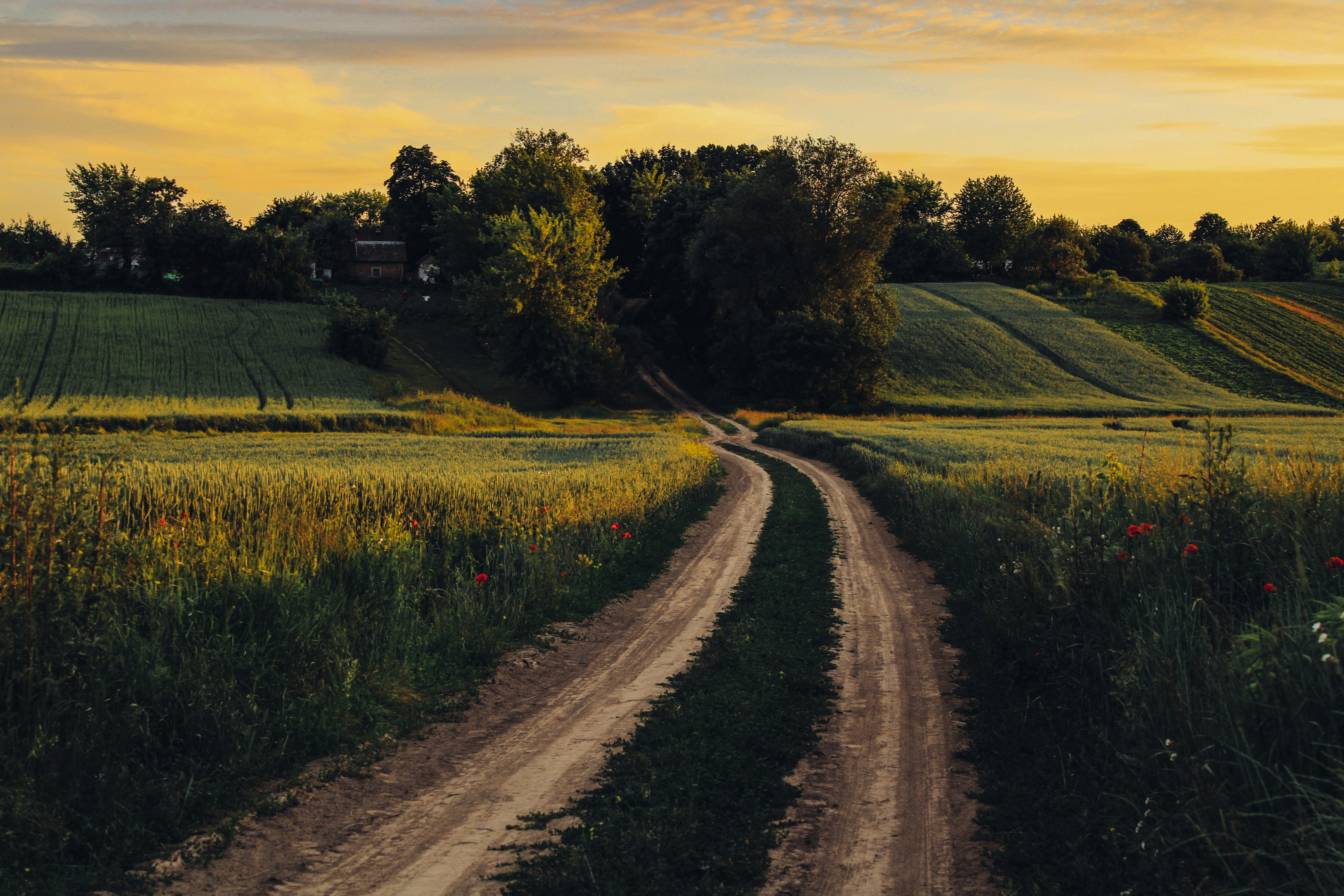 Photo by mineral_of_demon