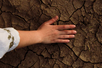 A person holding their hand out in front of a cracked surface