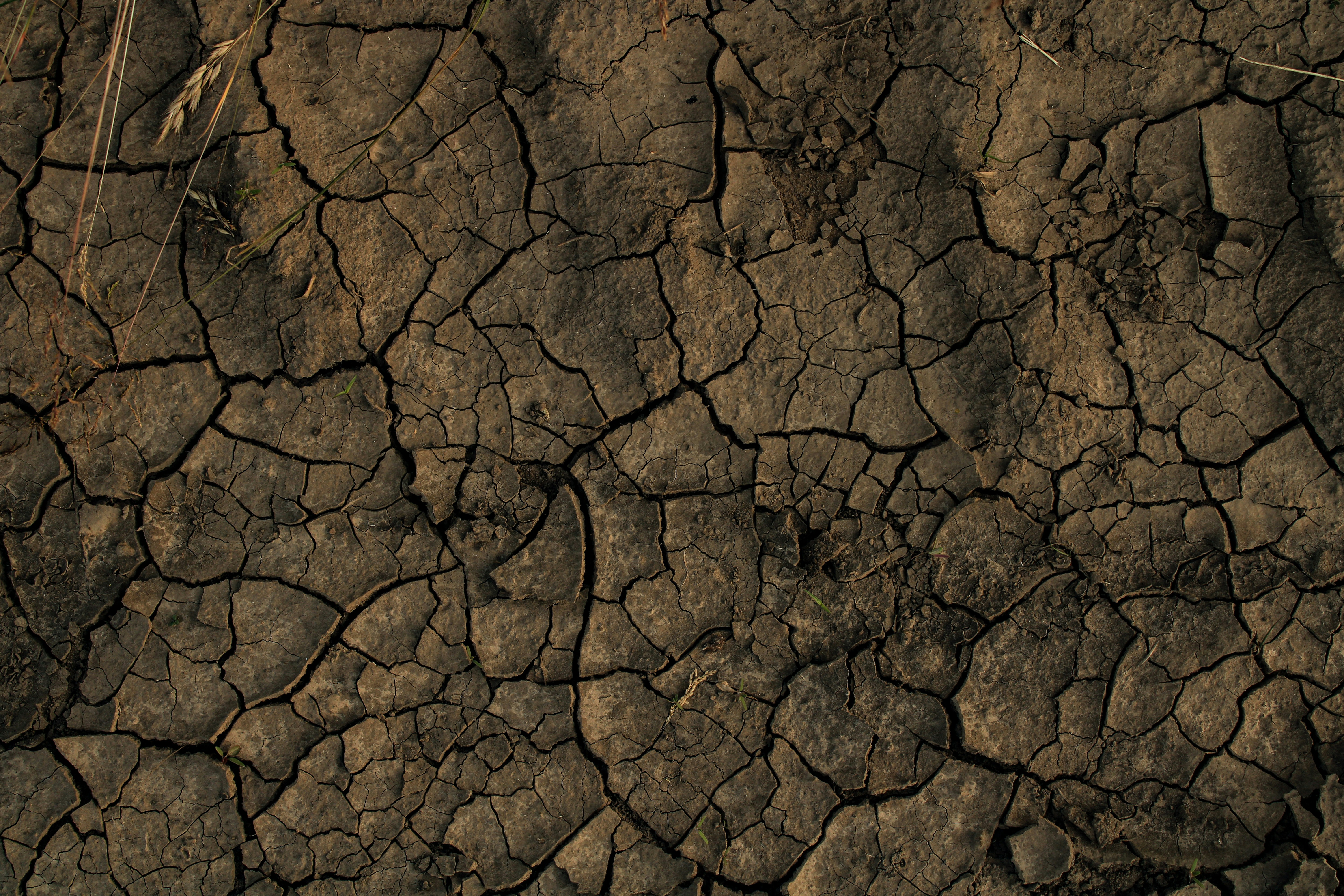 Photo by mineral_of_demon