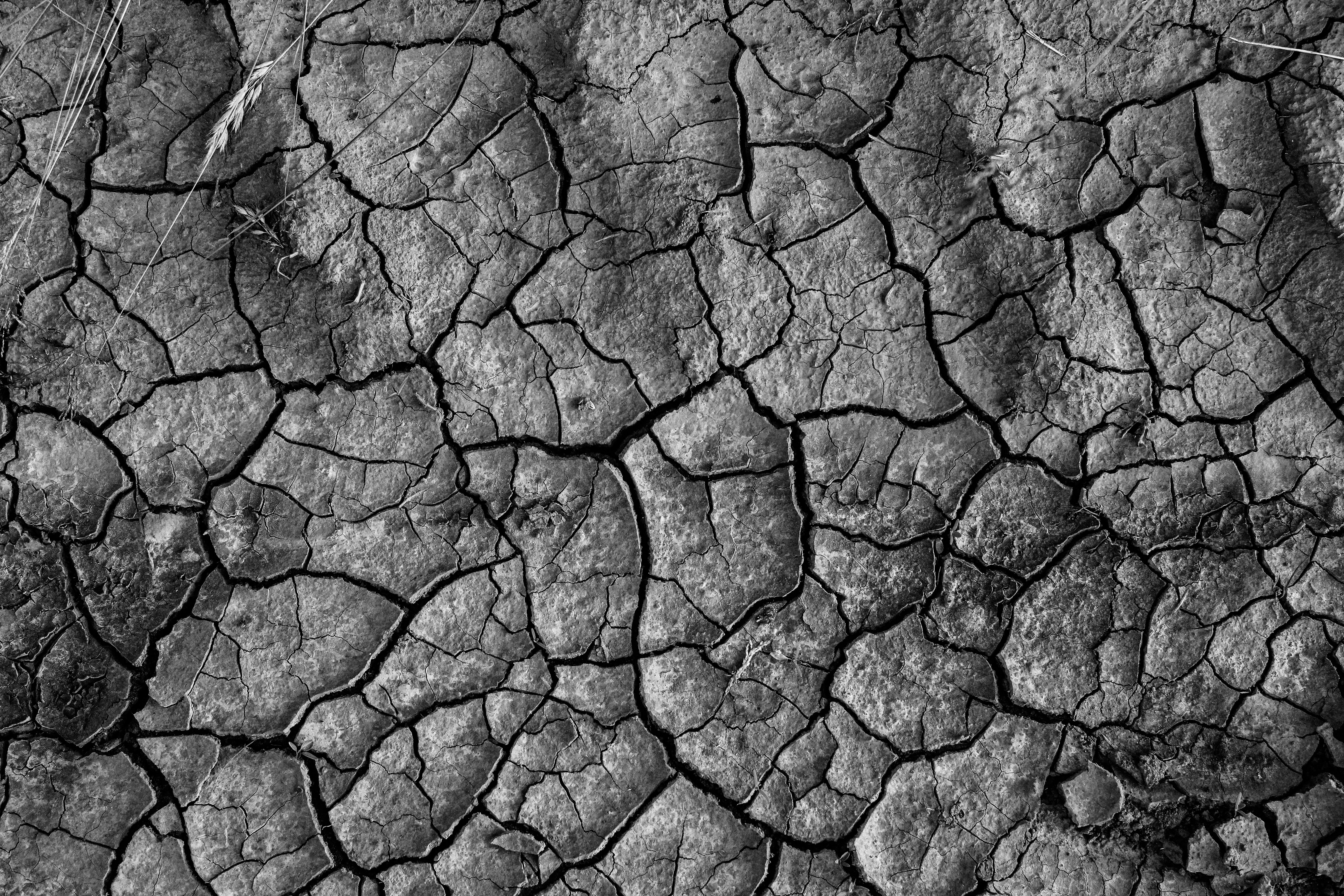 Photo by mineral_of_demon