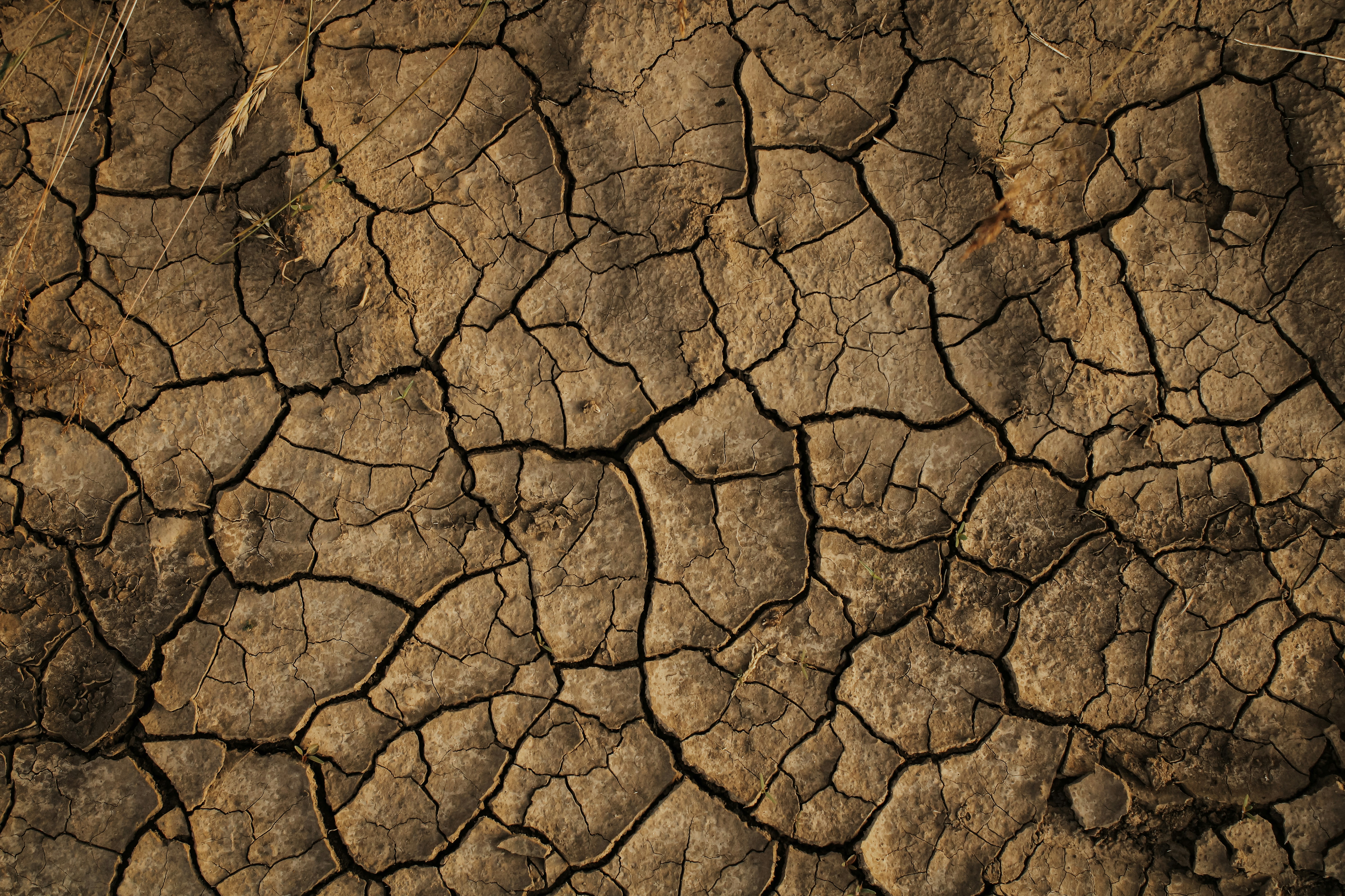 Photo by mineral_of_demon