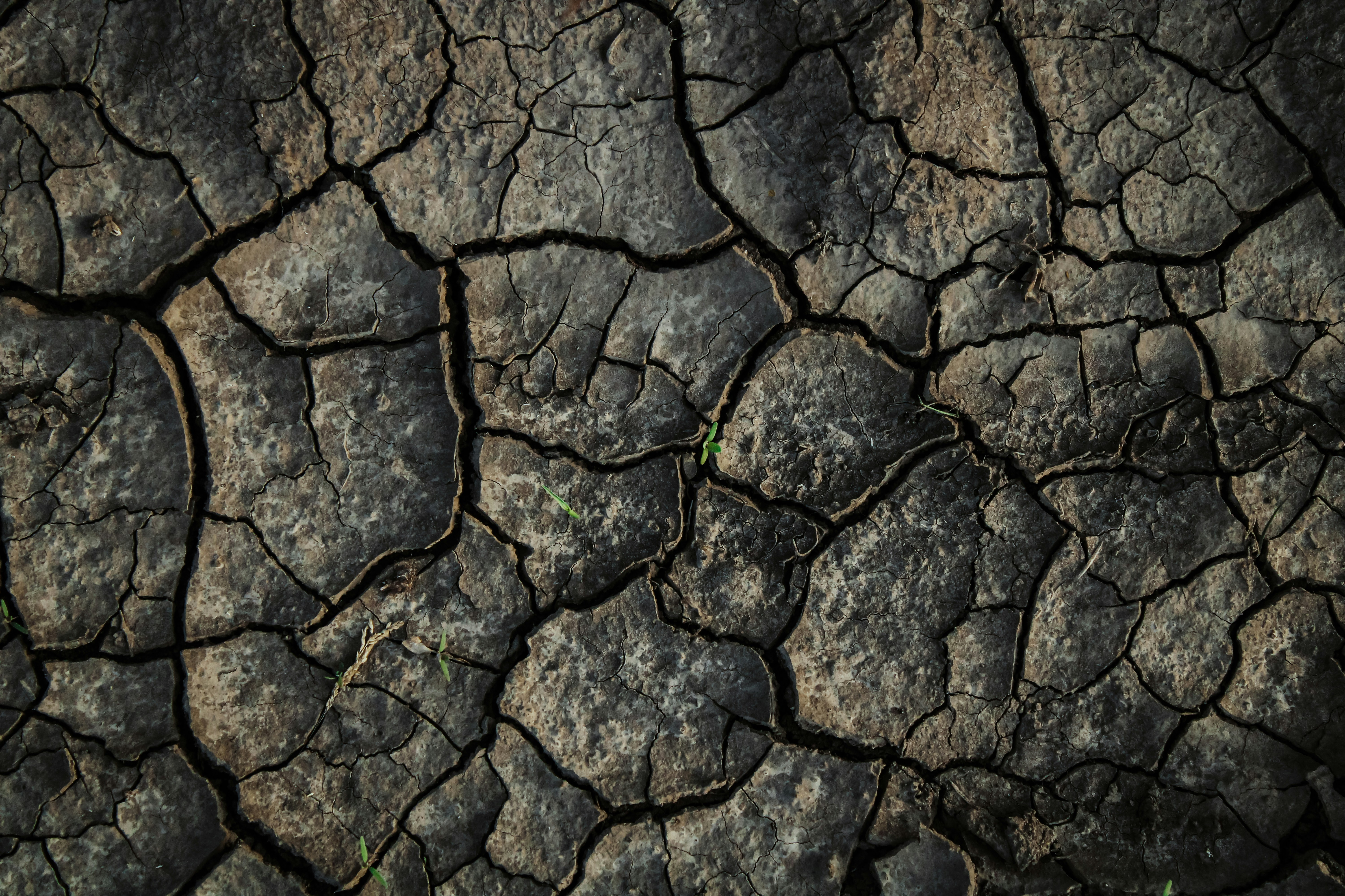 Photo by mineral_of_demon