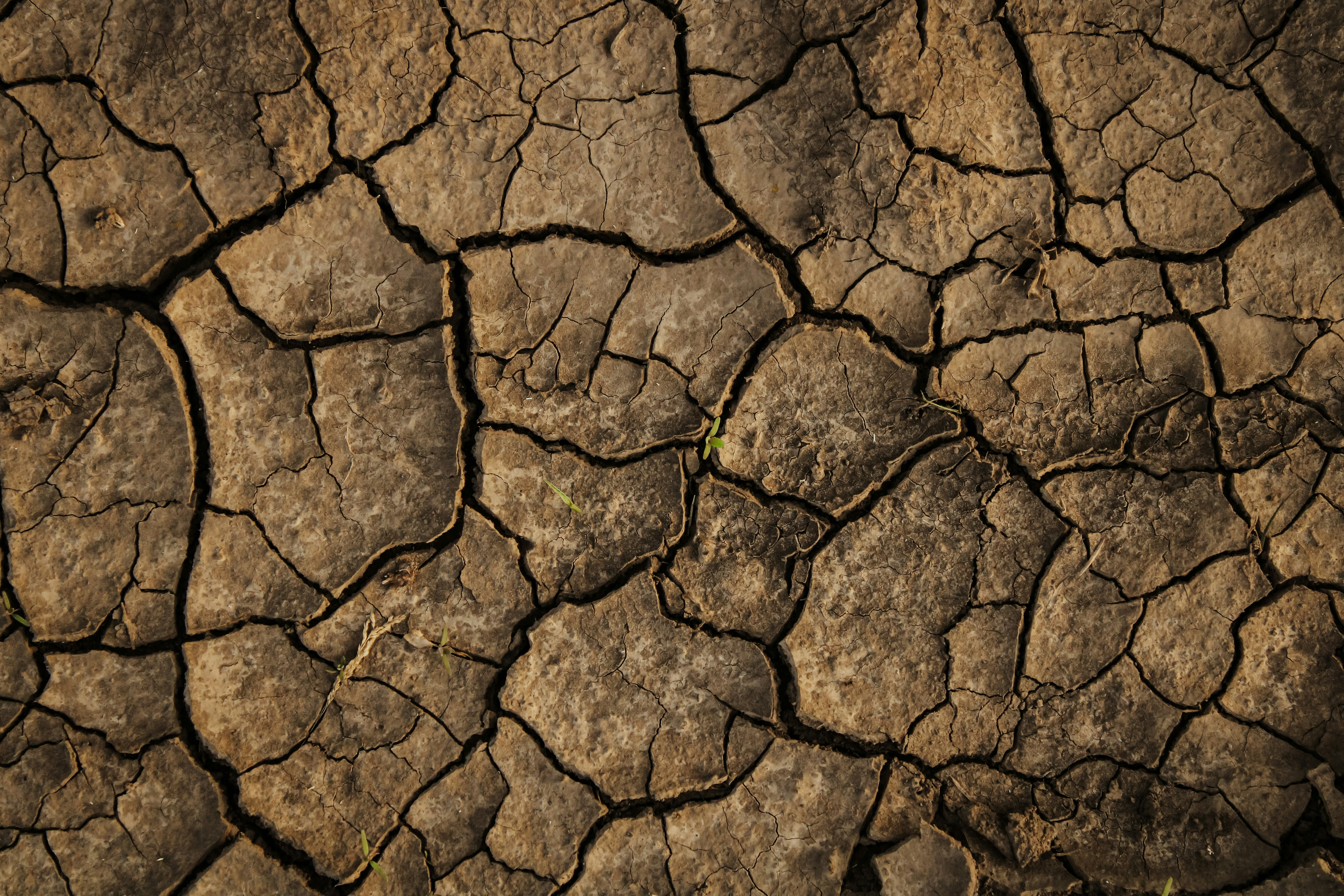 Photo by mineral_of_demon