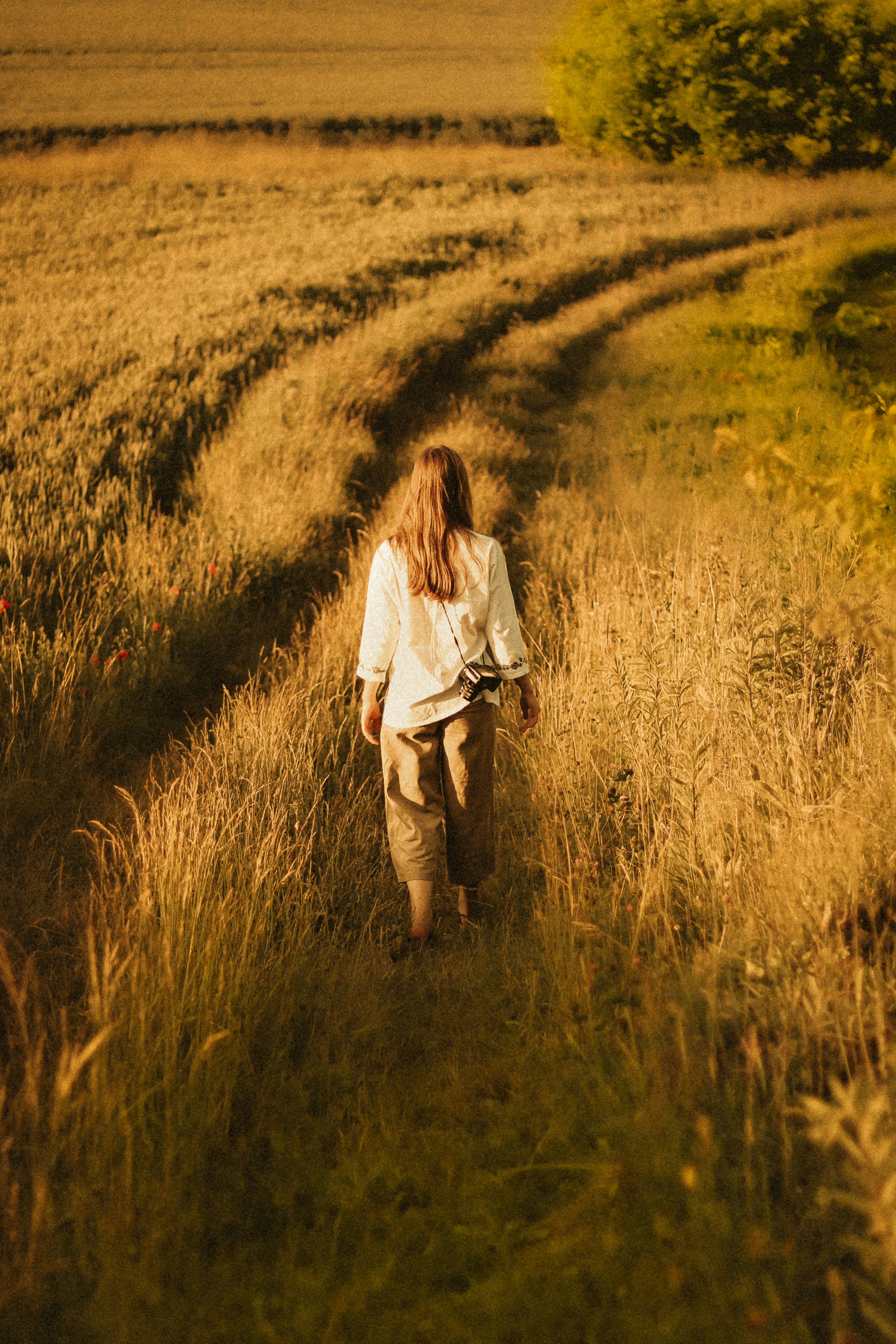 Photo by mineral_of_demon