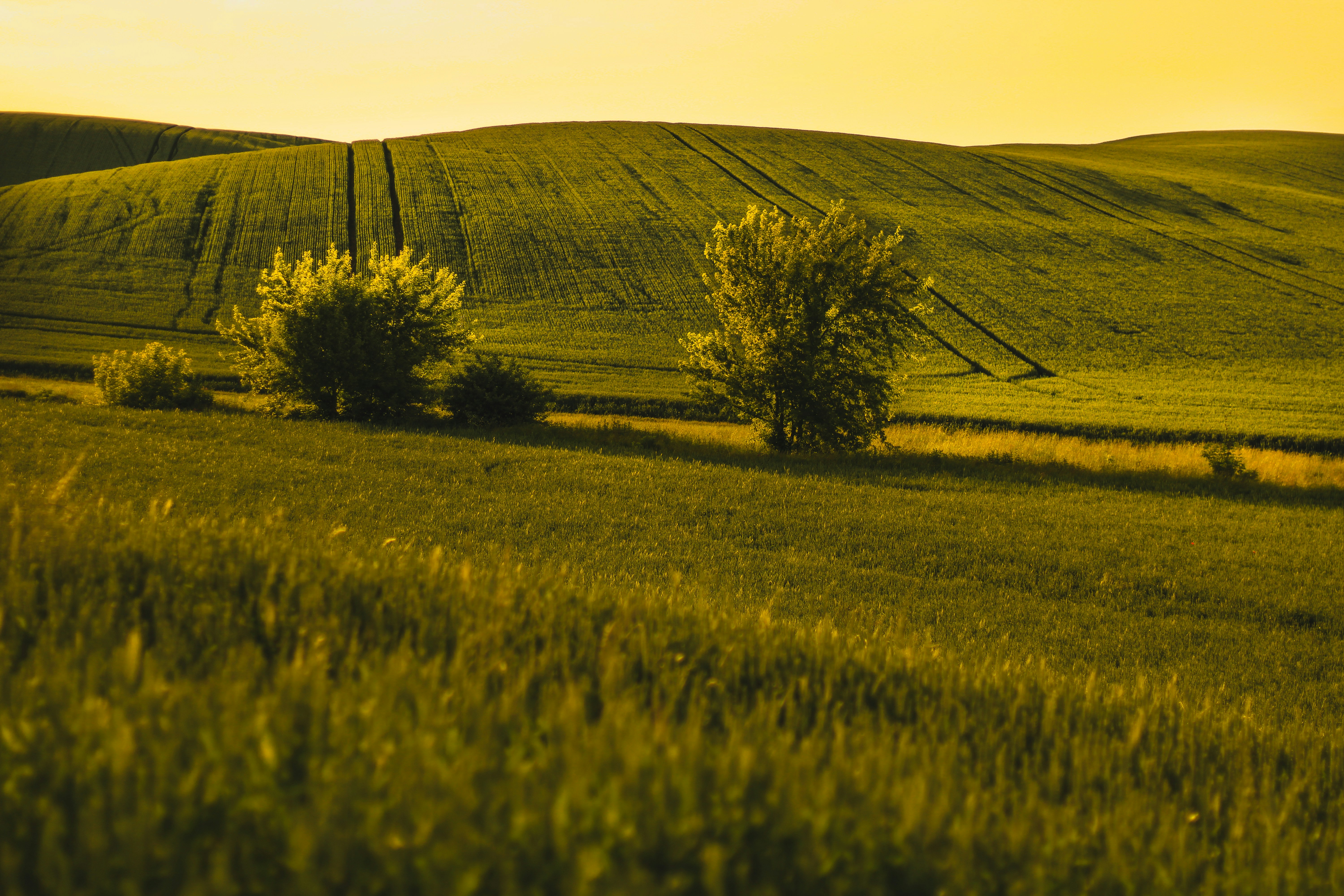 Photo by mineral_of_demon