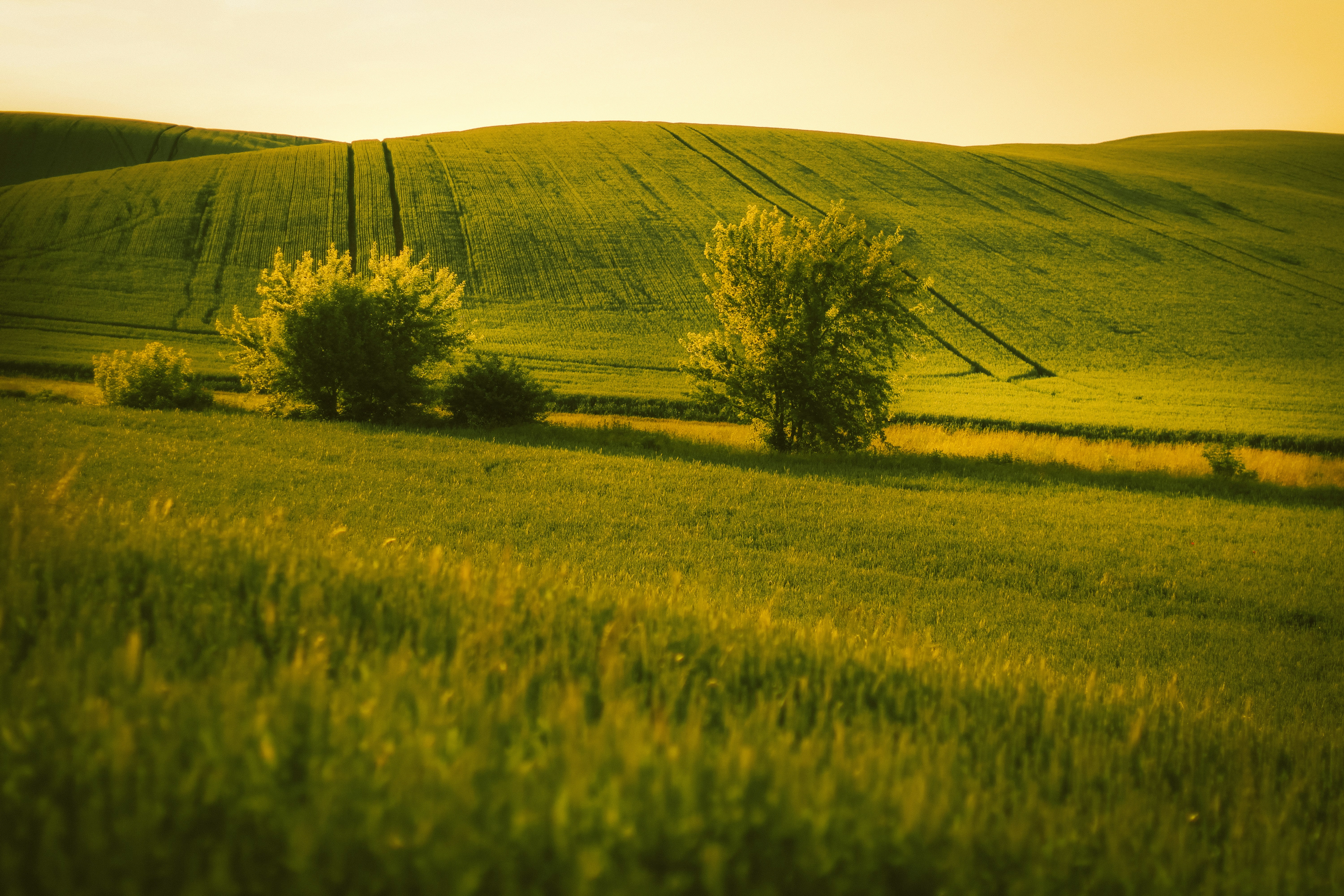 Photo by mineral_of_demon