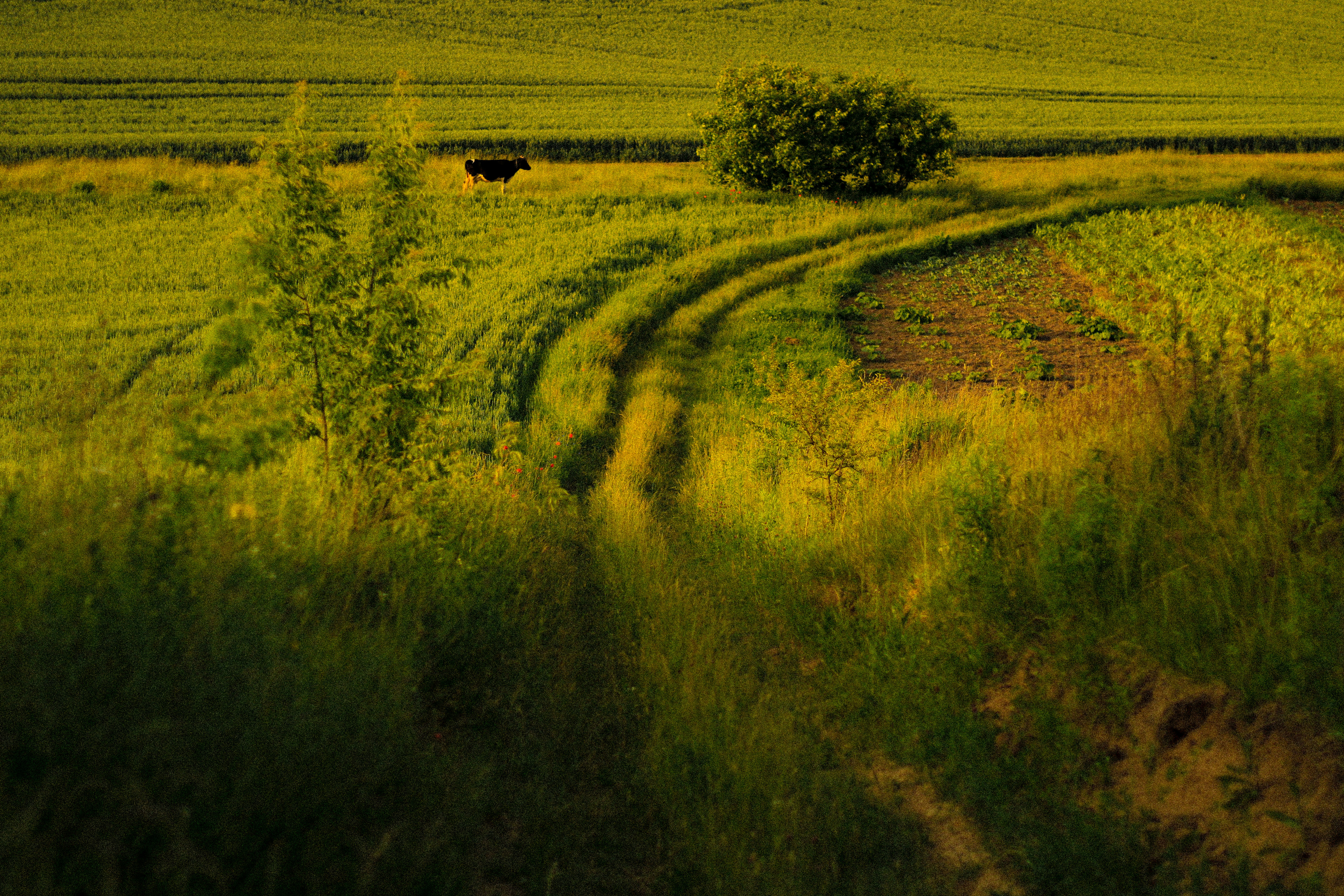 Photo by mineral_of_demon