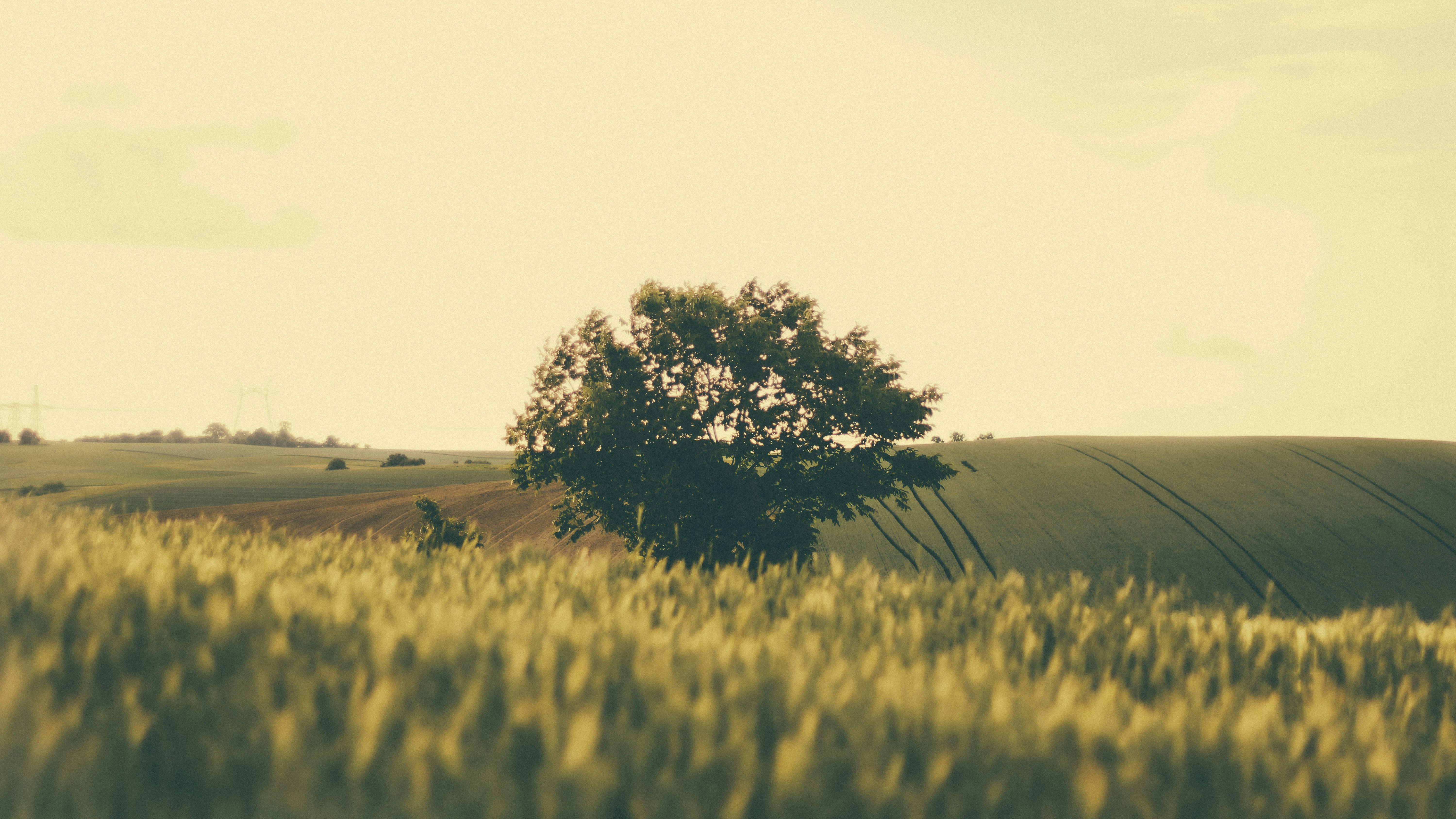 Photo by mineral_of_demon