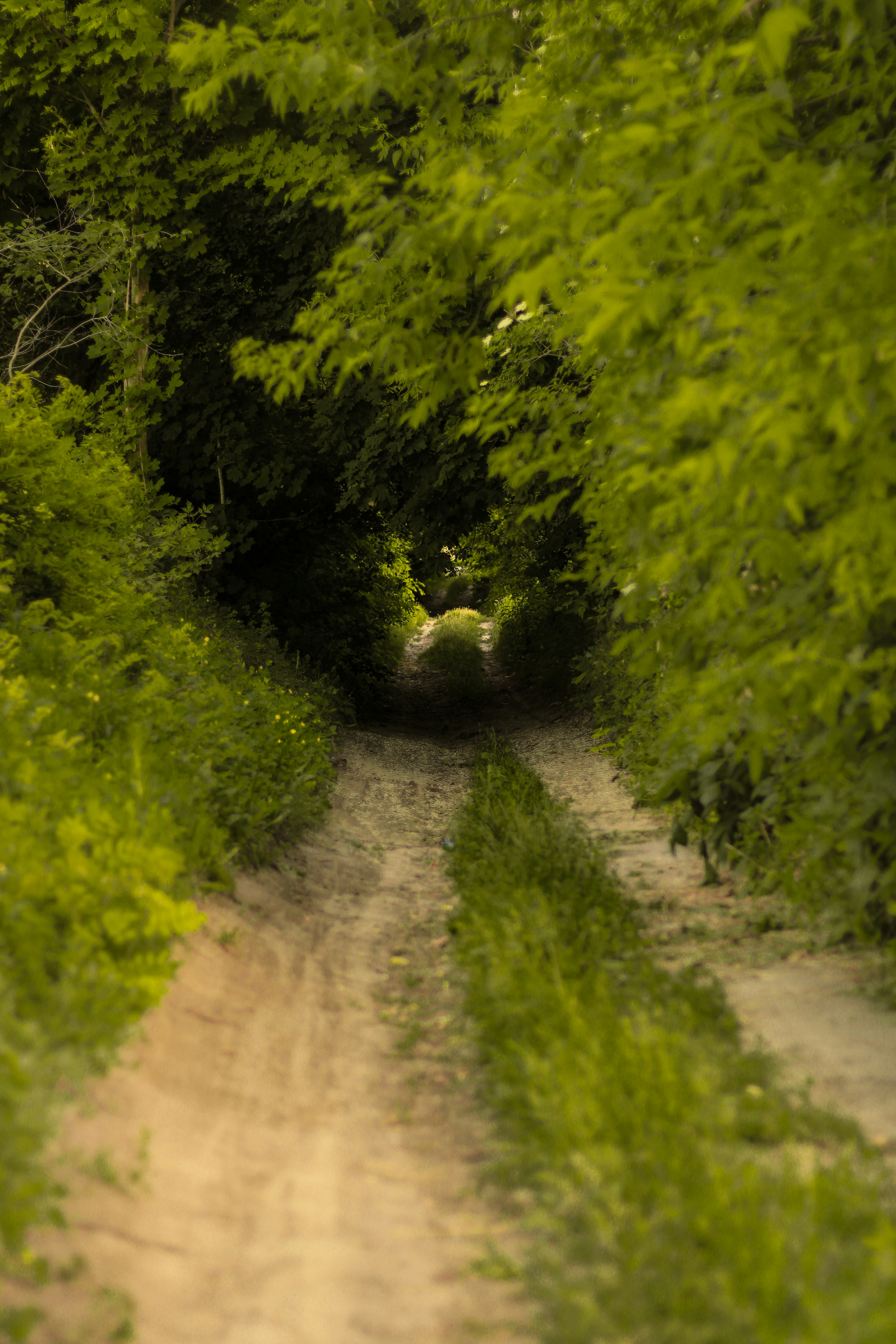 Photo by mineral_of_demon