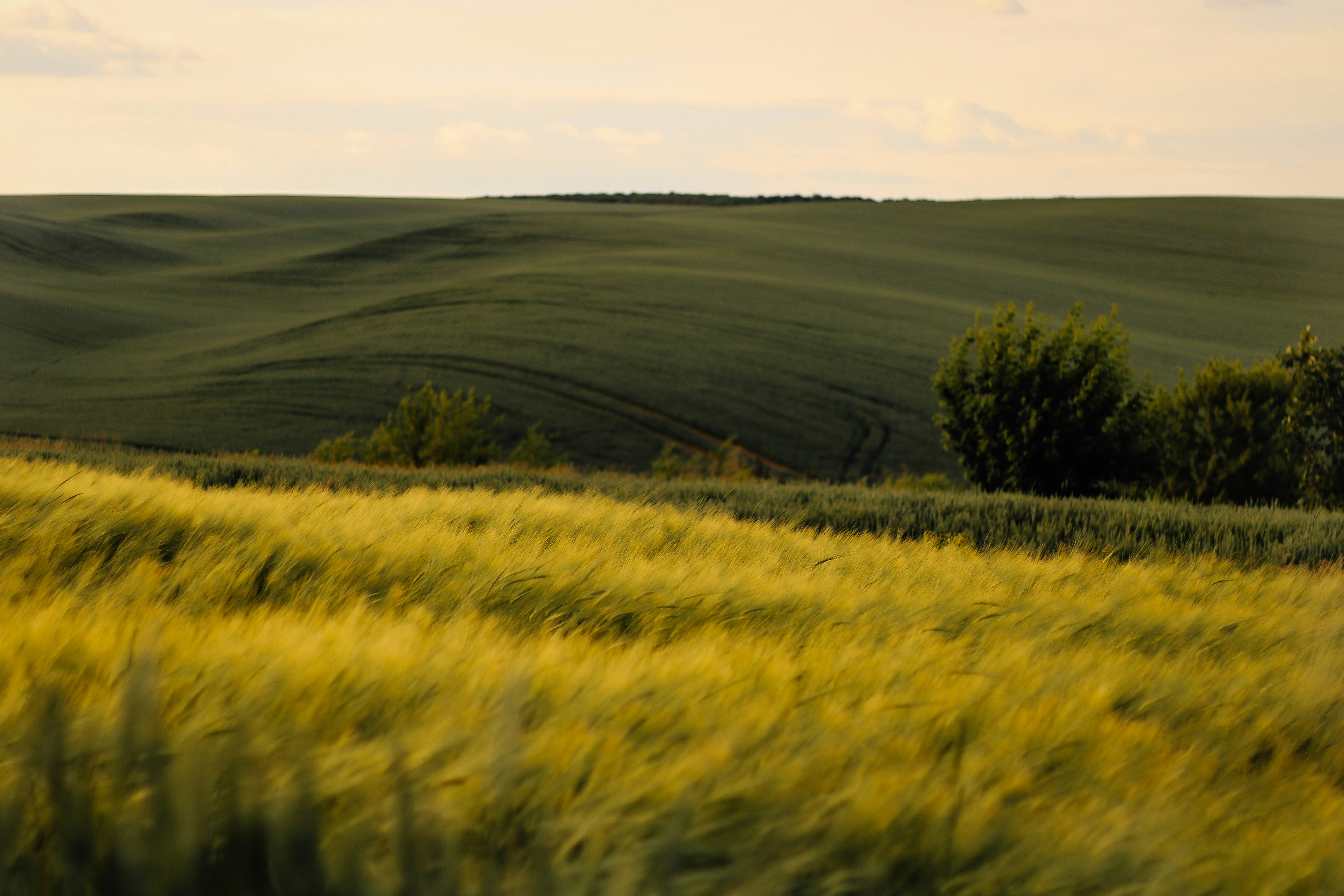 Photo by mineral_of_demon