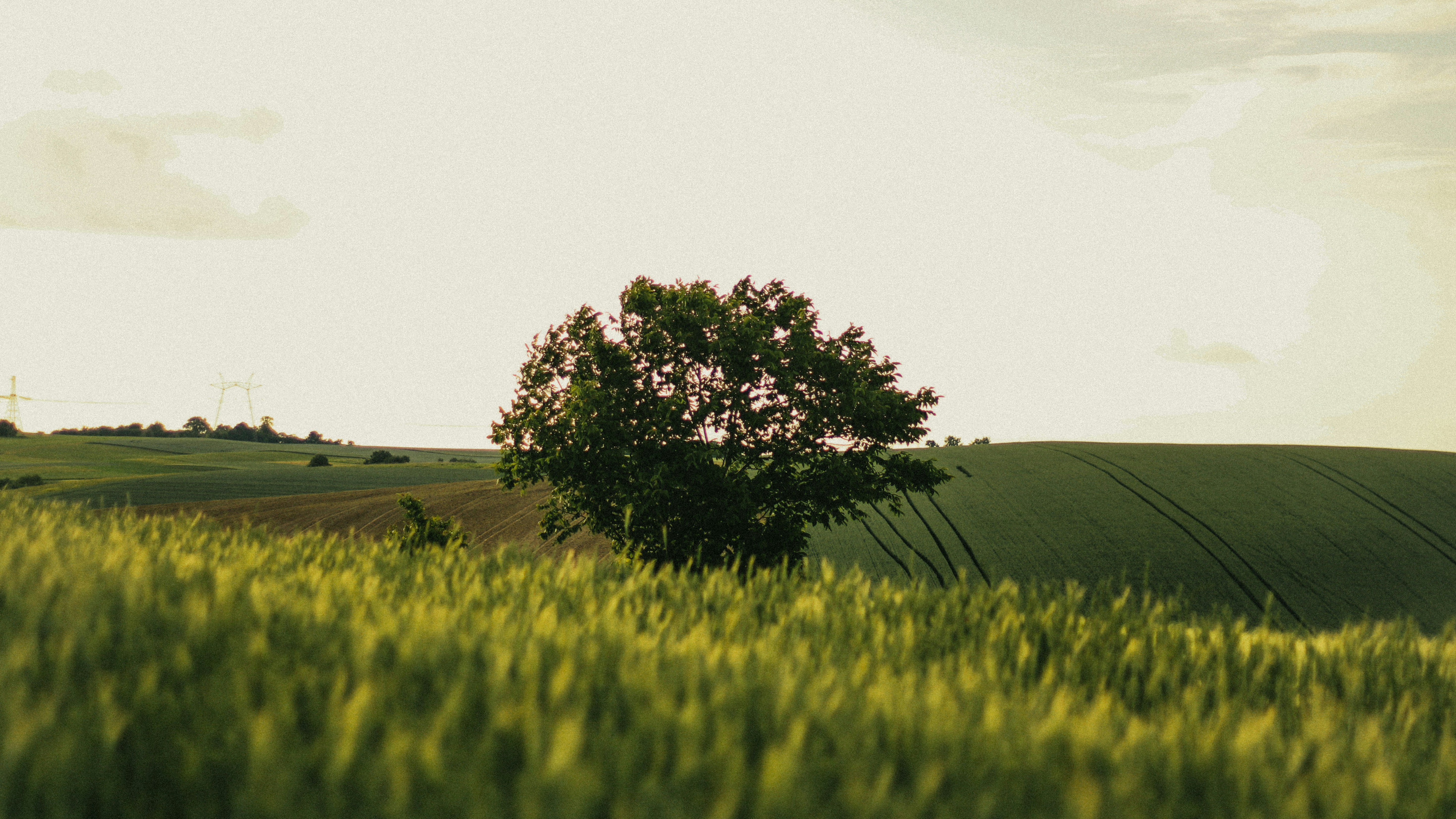 Photo by mineral_of_demon