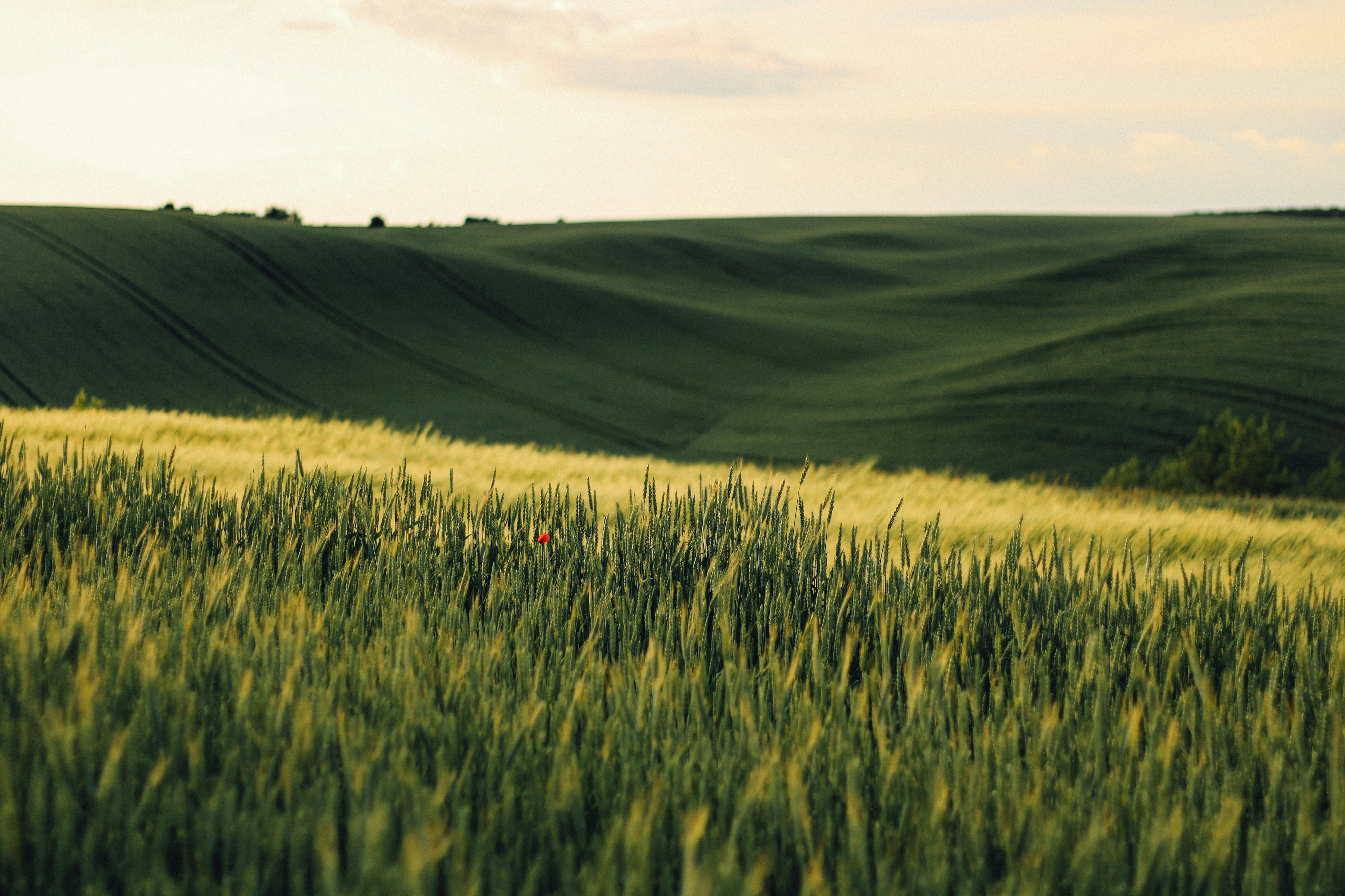 Photo by mineral_of_demon