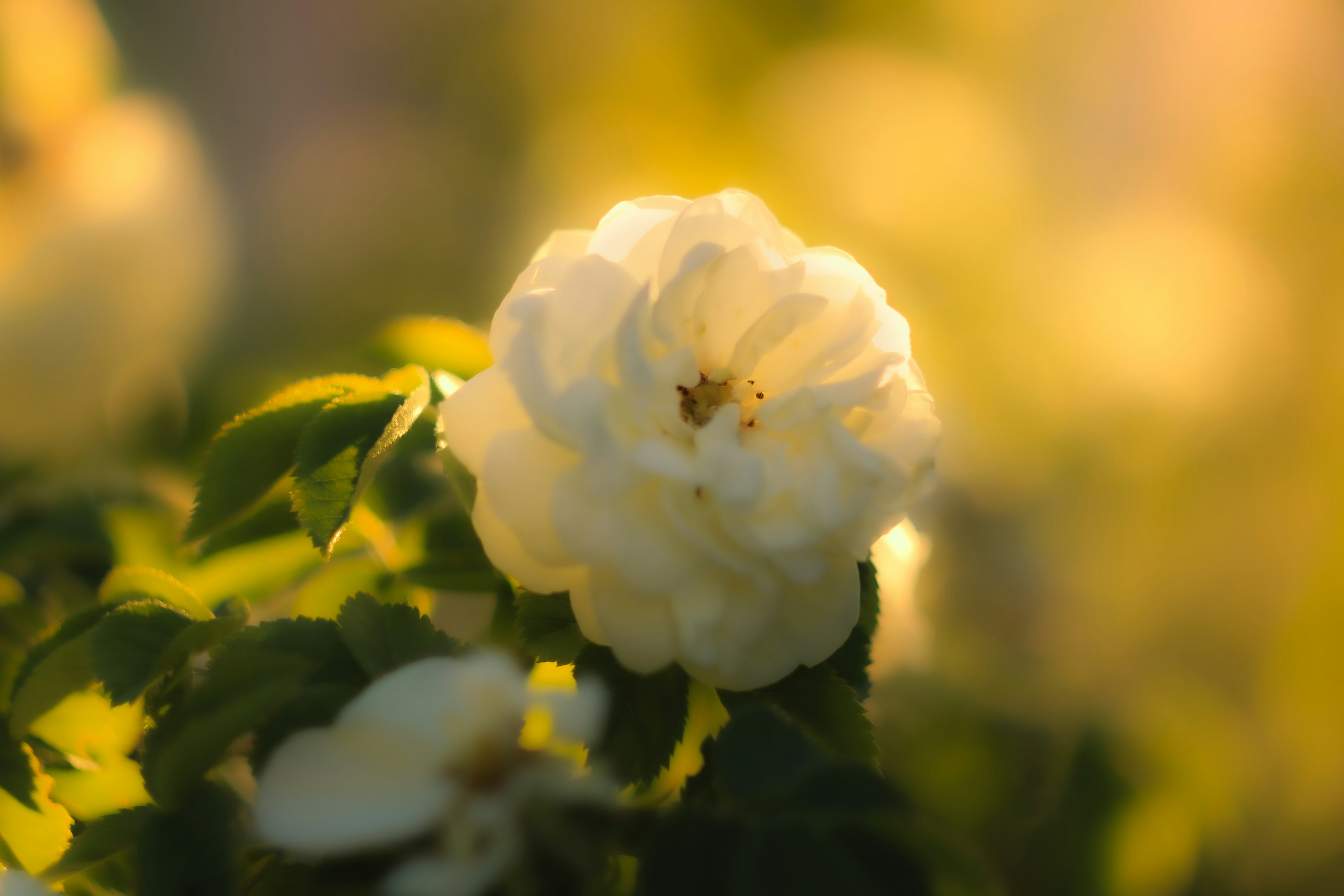 Photo by mineral_of_demon