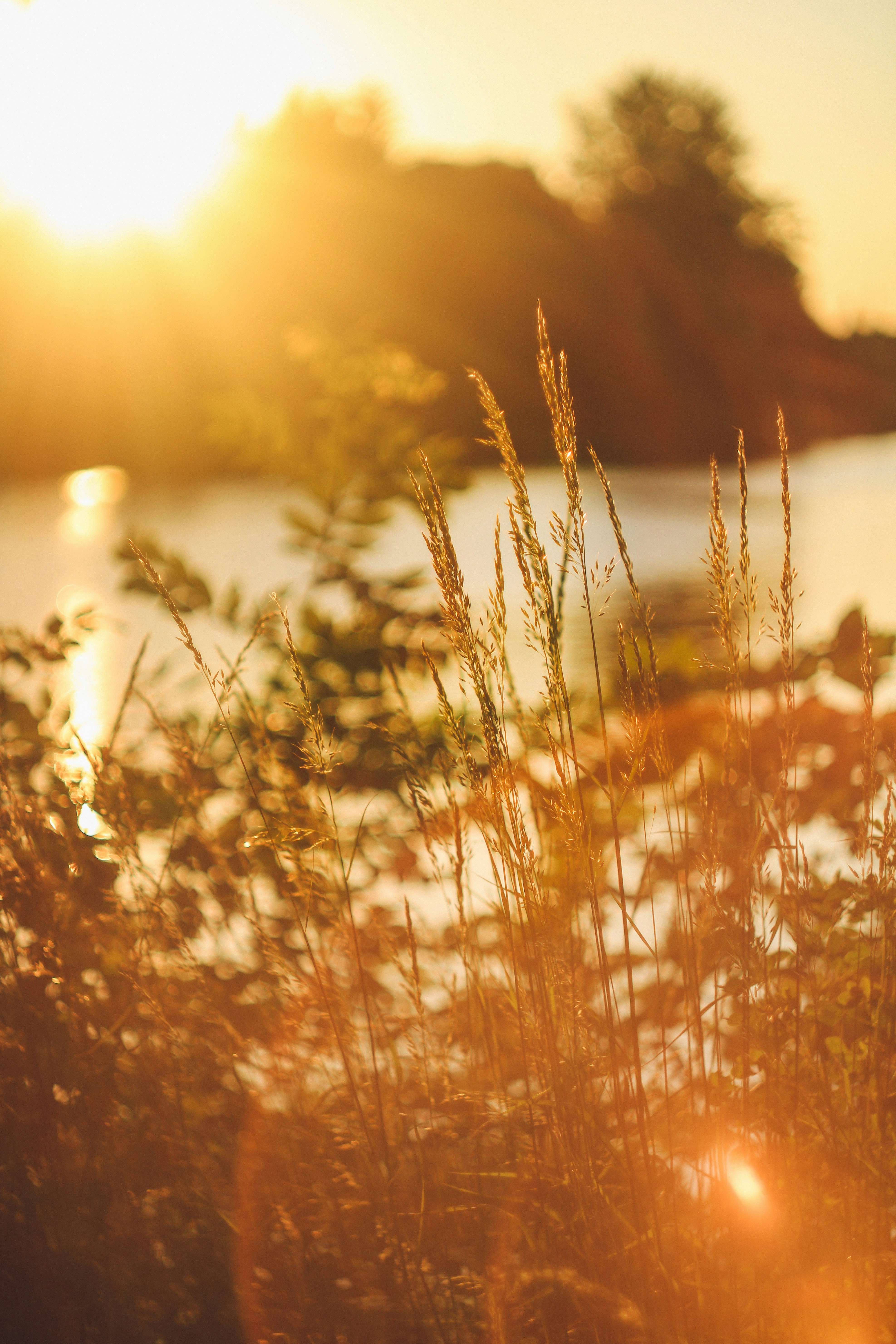 Photo by mineral_of_demon