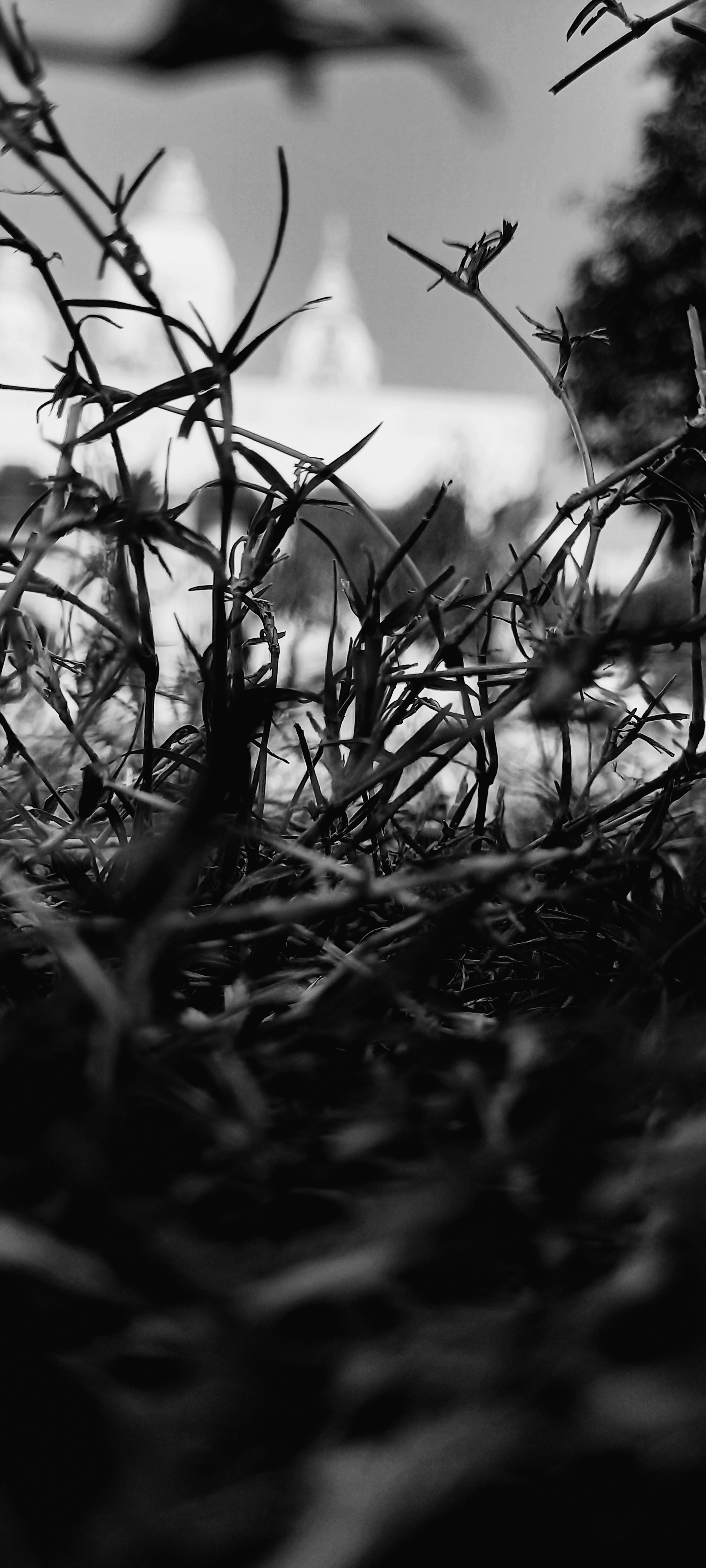 Photo by royanirzeet