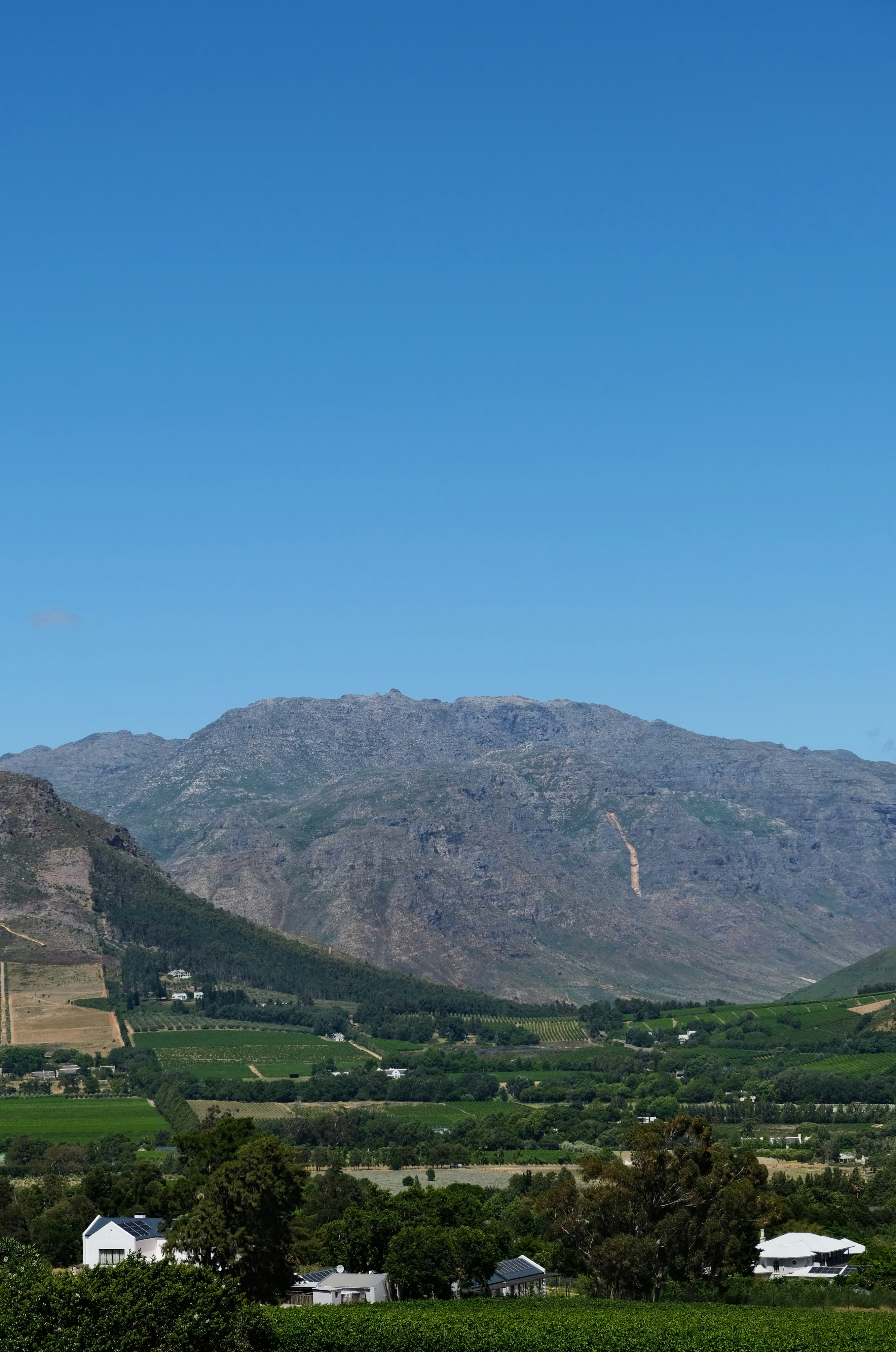 Photo by weylandswart