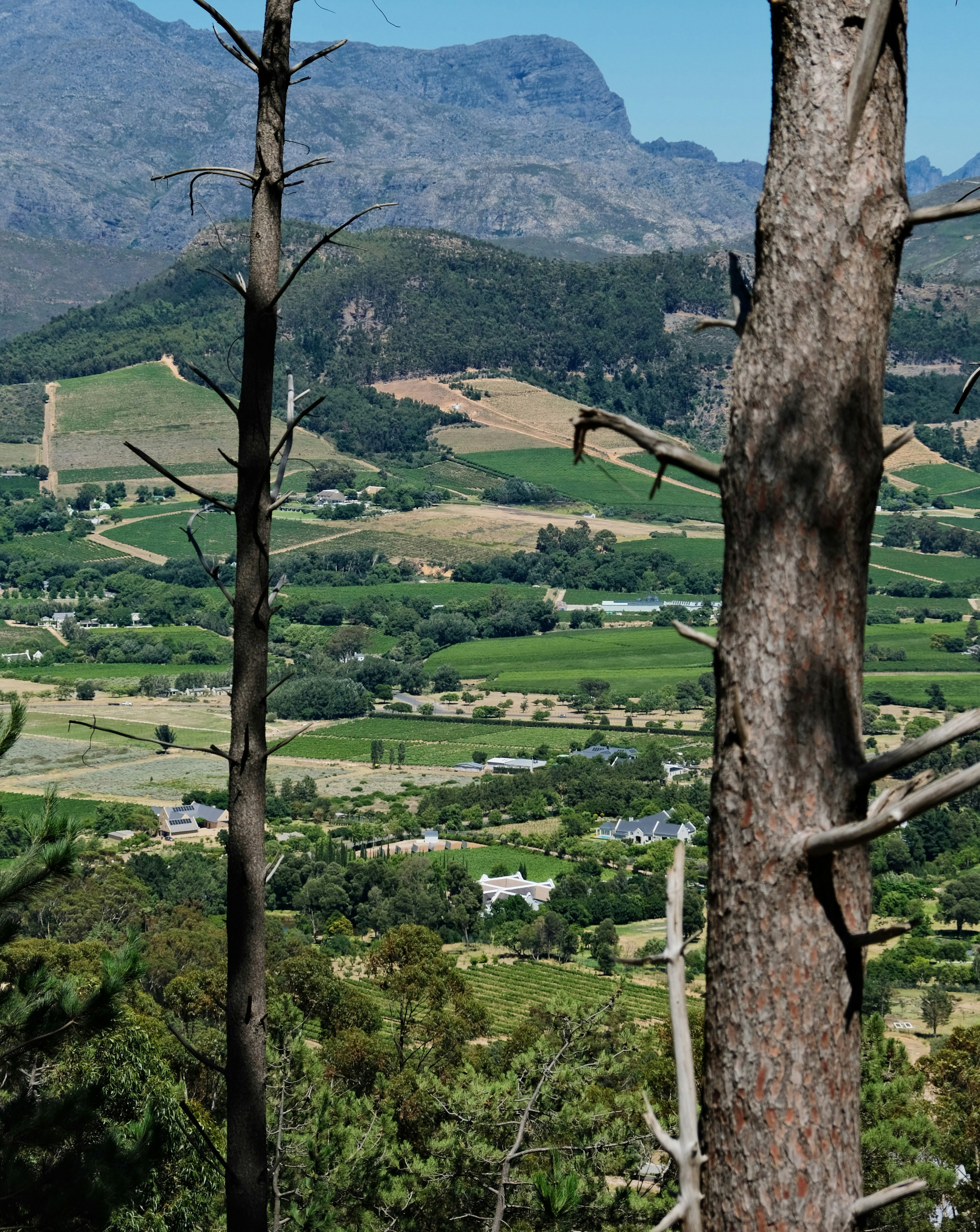 A scenic view of a valley with mountains in the background