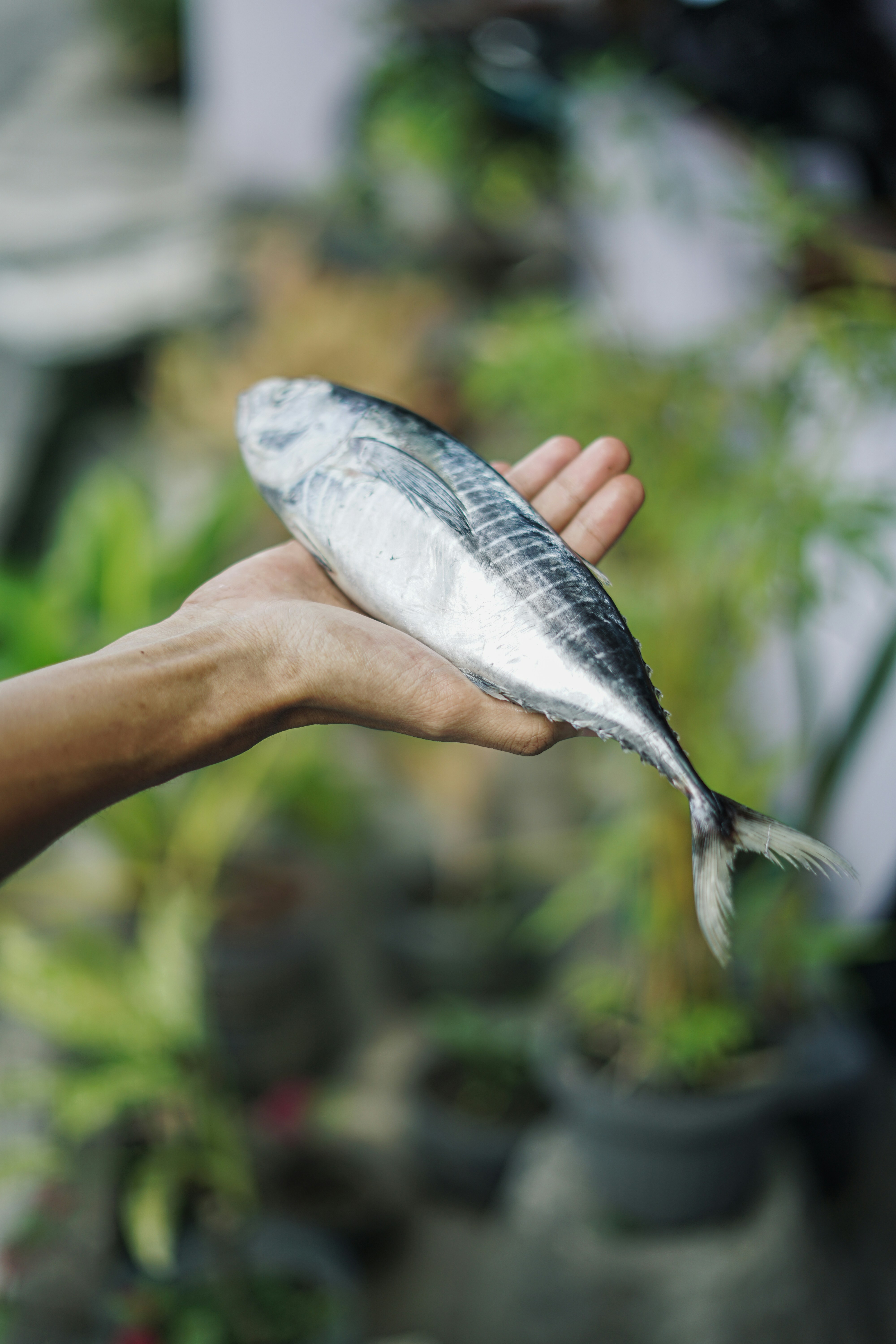 A person holding a fish in their hand